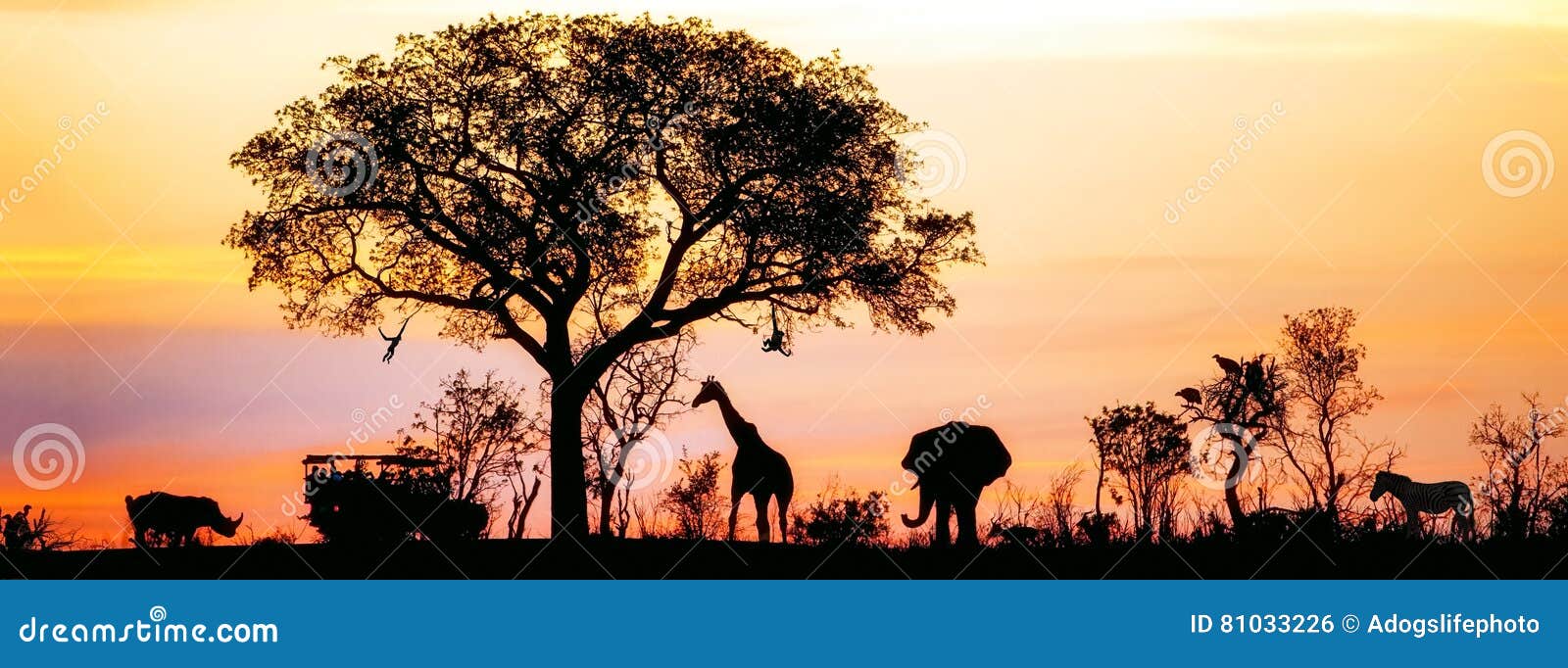 african safari silhouette banner