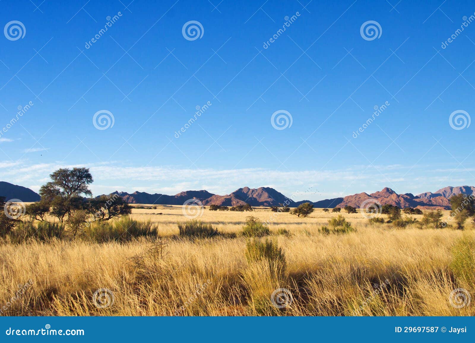 african grasslands background