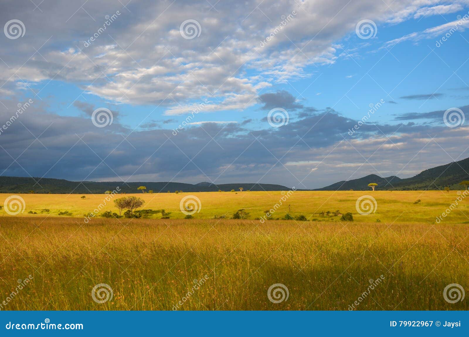 african savanna landscape, masai mara, kenya, africa