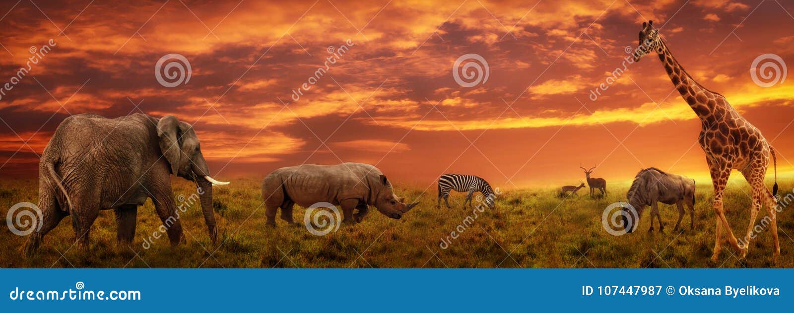 african safari sunset wallpaper