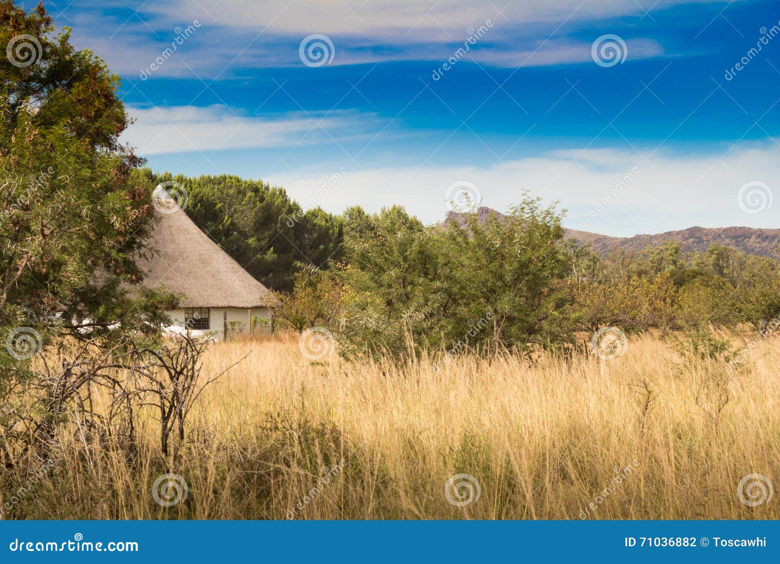 African Thatched Hut in the Bush Veld Stock Photo - Image of long