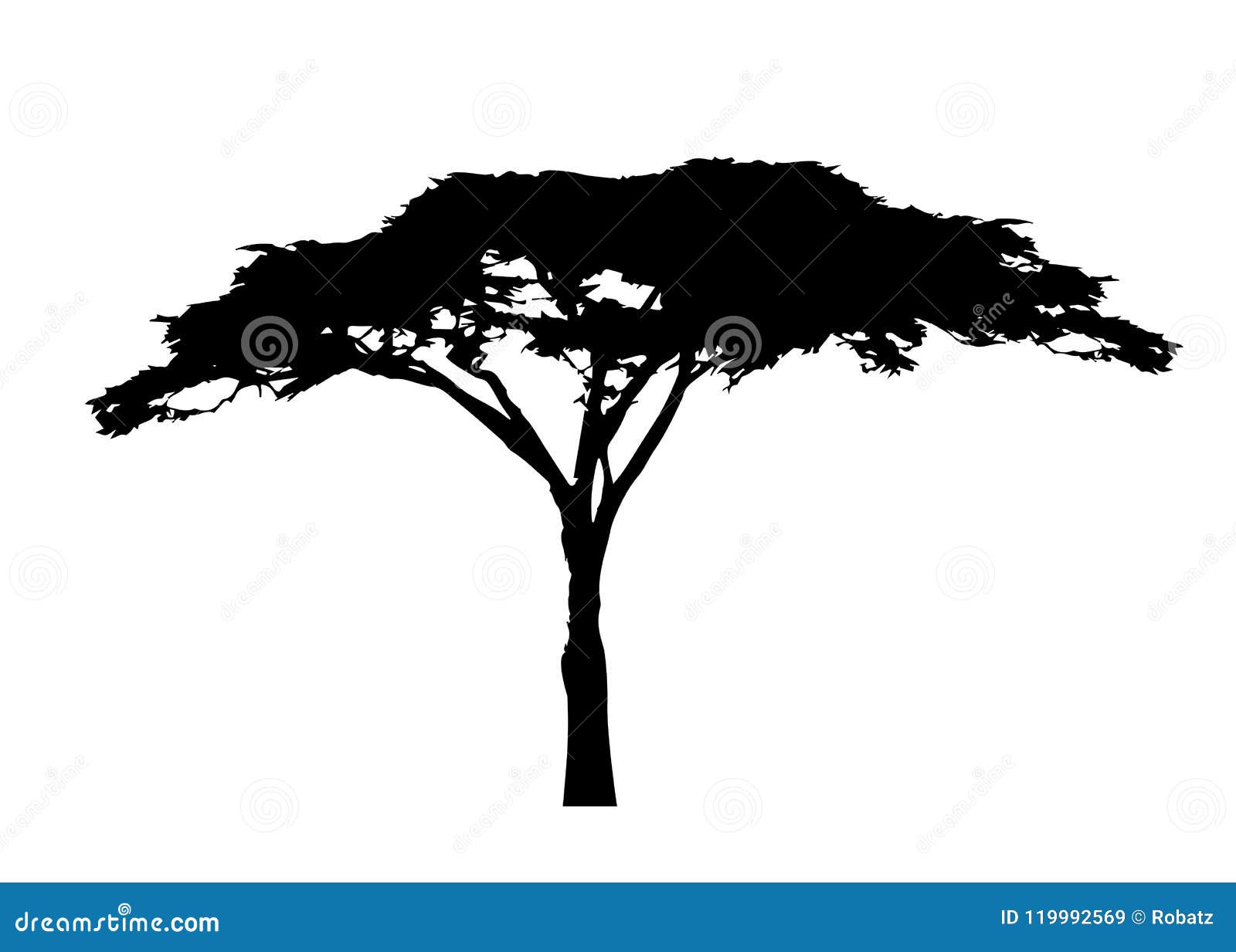 Acacia Tree Outline