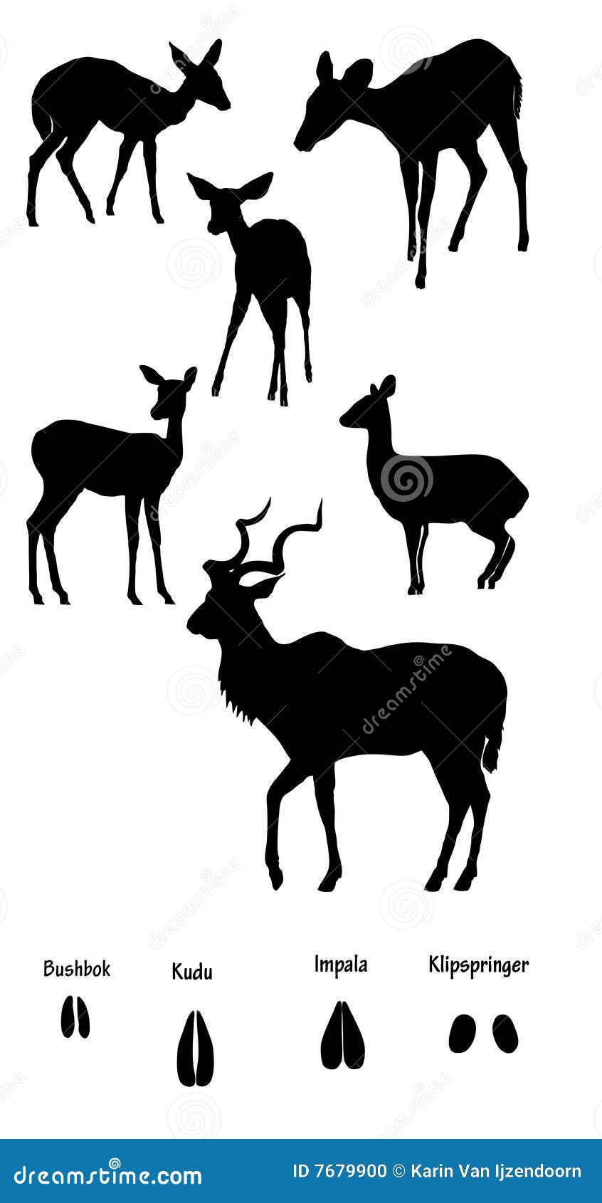 african ungulates in silhouette