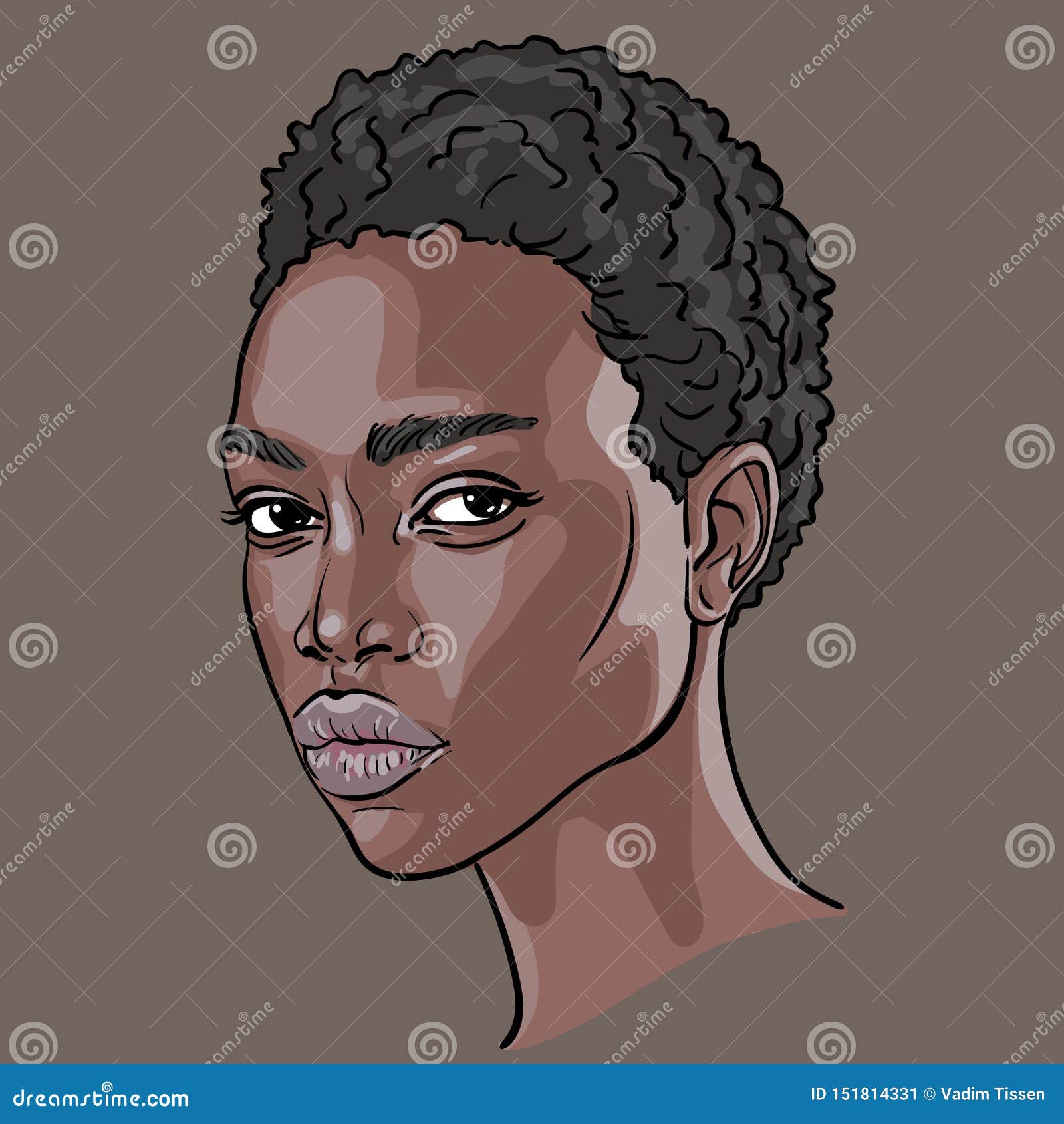 African Woman Face. Portrait Cartoon Style. Vector. Illustration. Stock  Vector - Illustration of elegance, attractive: 151814331