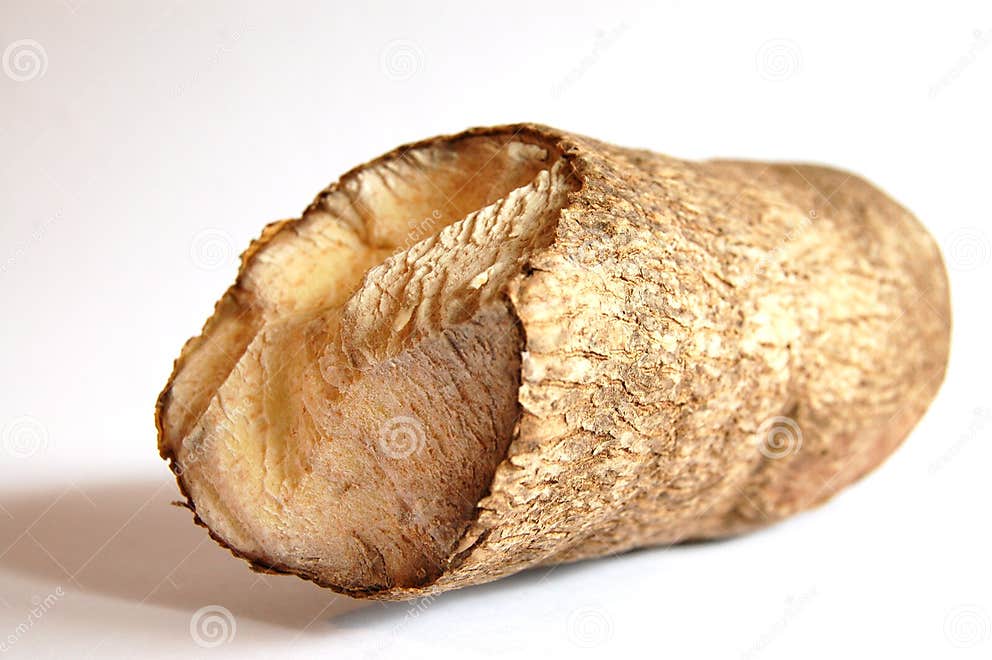 African yam stock image. Image of multicultural, carbohydrates 256333