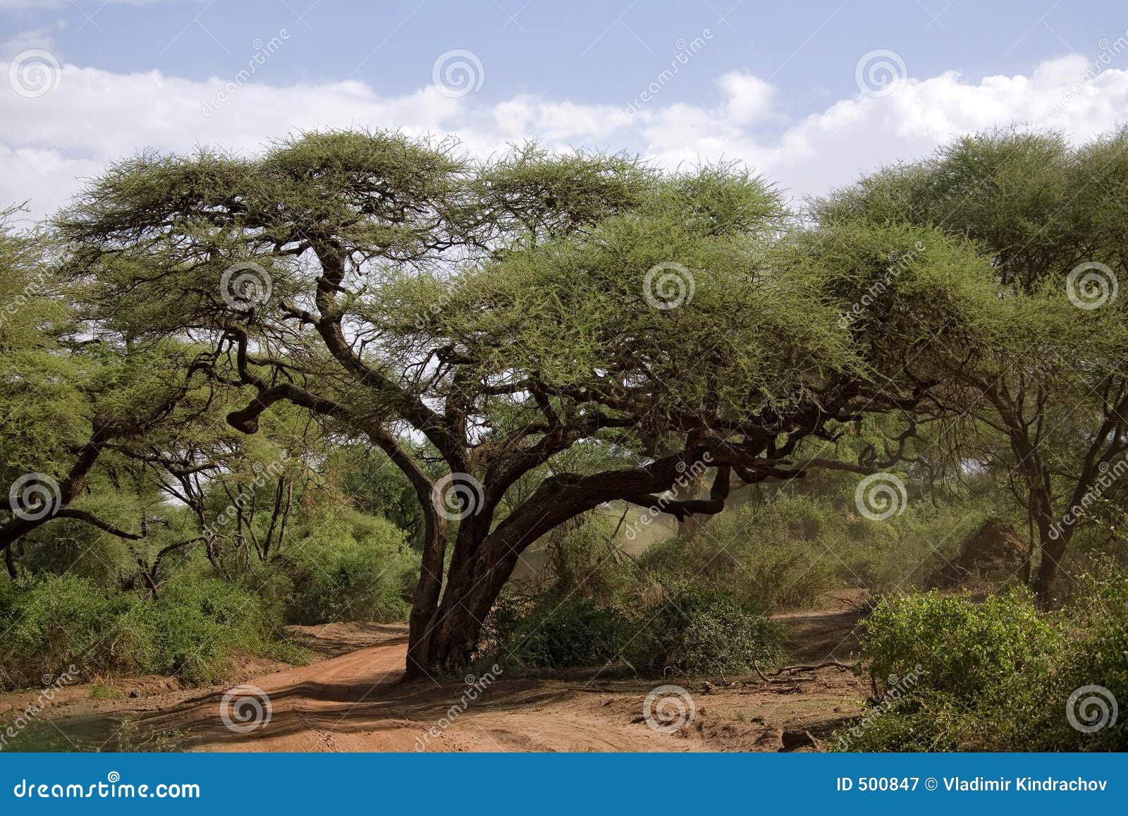 Afrika-Landschaft 004 Lizenzfreie Stockfotografie - Bild ...