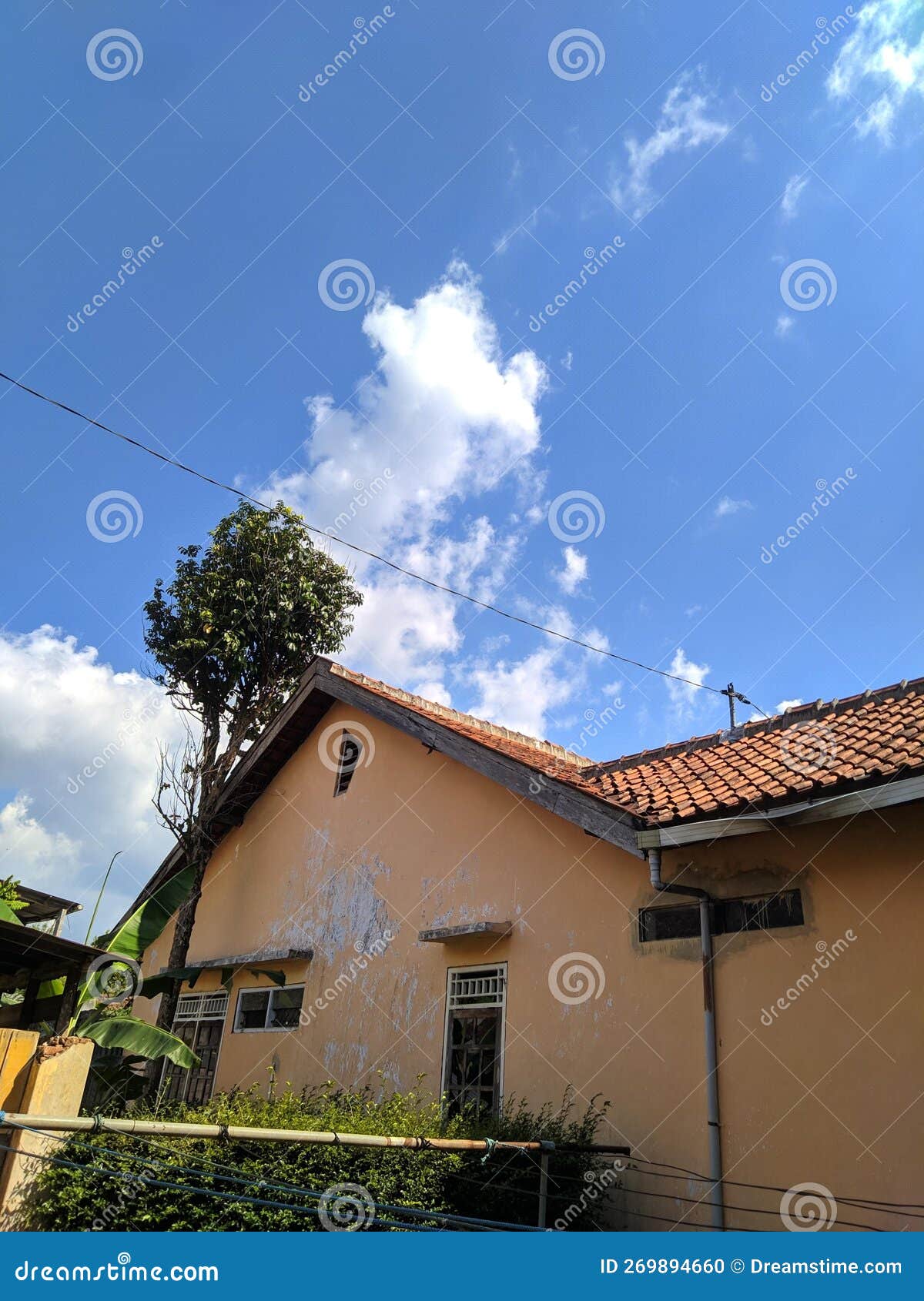 Afternoon in the backyard stock photo. Image of building 269894660