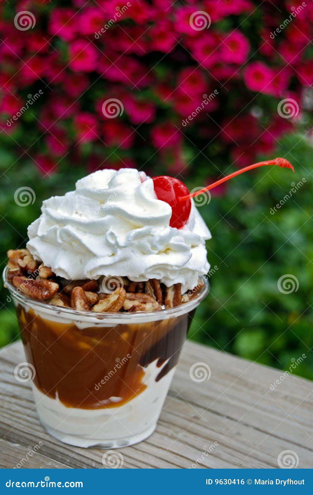 Afternoon Delight stock photo. Image of happiness, delicious 9630416