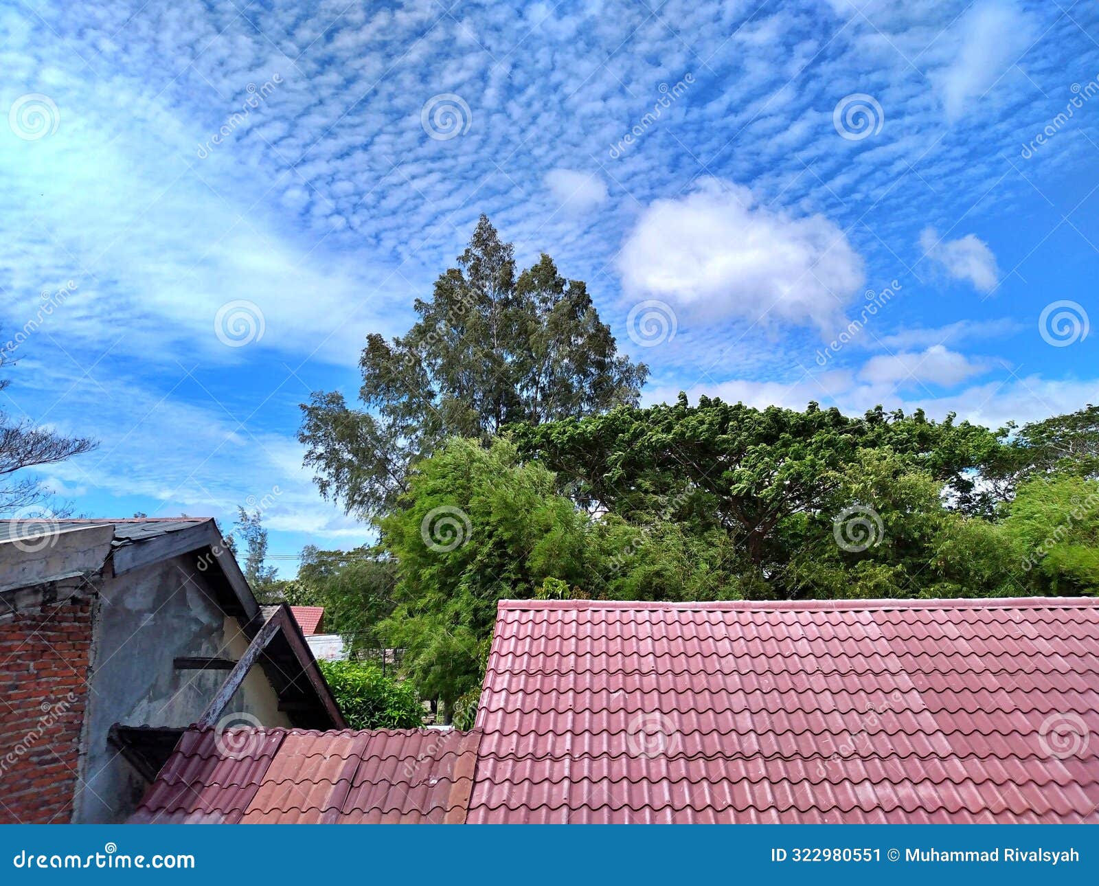 afternoon sky from rooftop