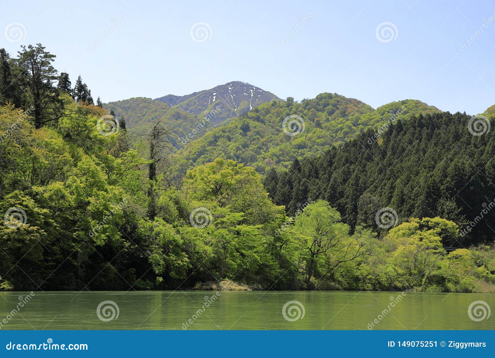 Agano river stock image. Image of grove, mountain, japan 149075251