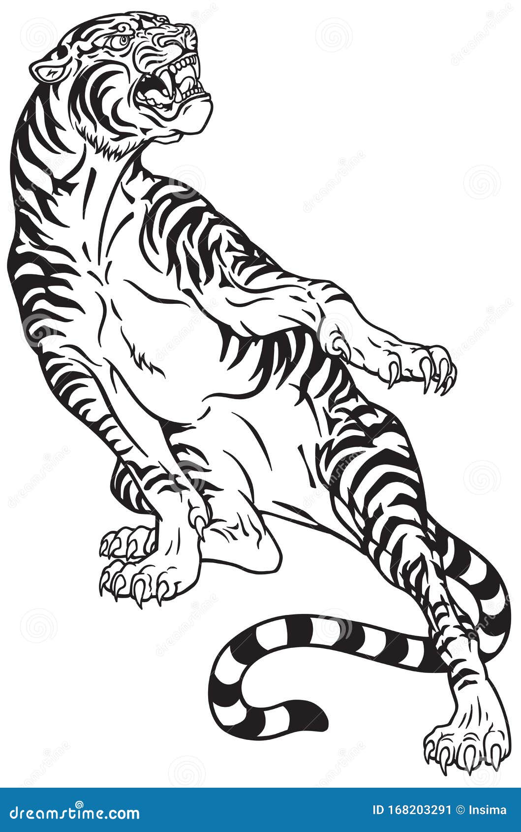 430 Drawing Of The Black And White Tiger Face Illustrations RoyaltyFree  Vector Graphics  Clip Art  iStock