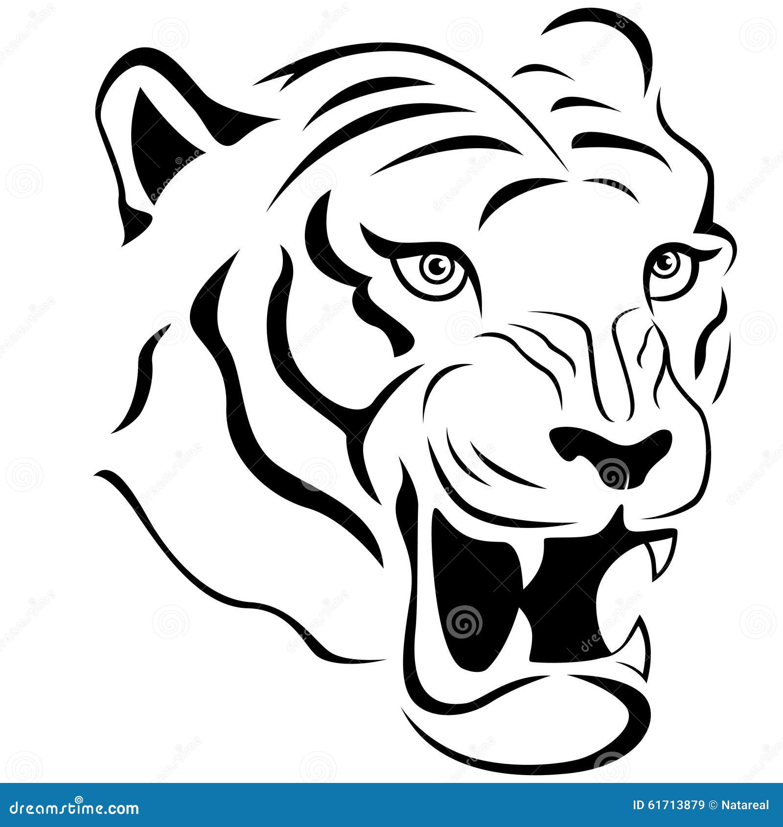 Drawing Bengal Tiger locking or big cat, Stock vector