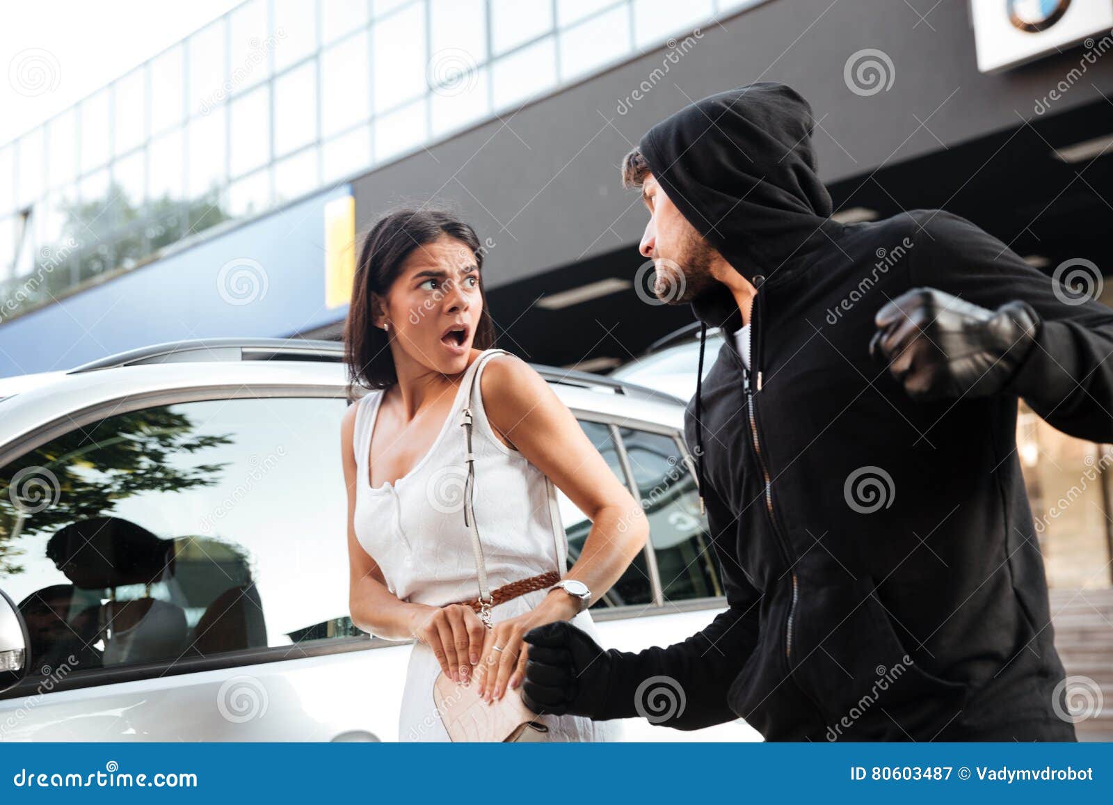 car thief 6 car thief 6