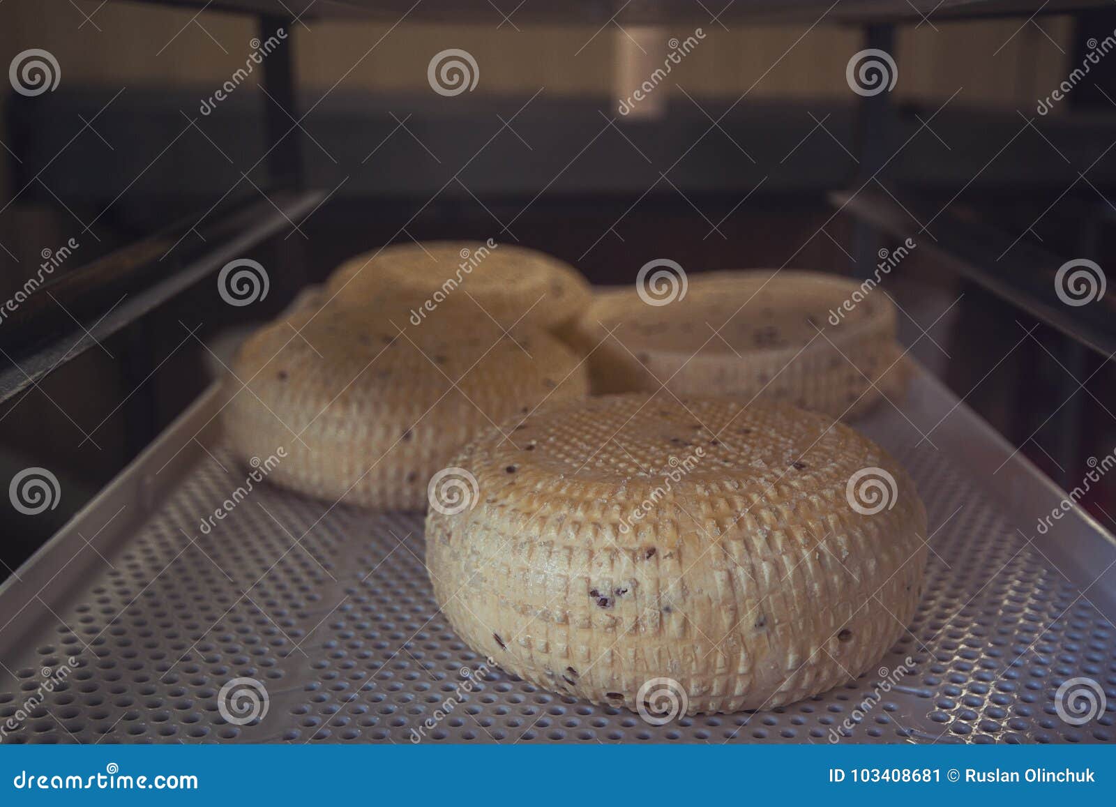 Aging cheese heads stock image. Image of dairy, cheesemaking 103408681