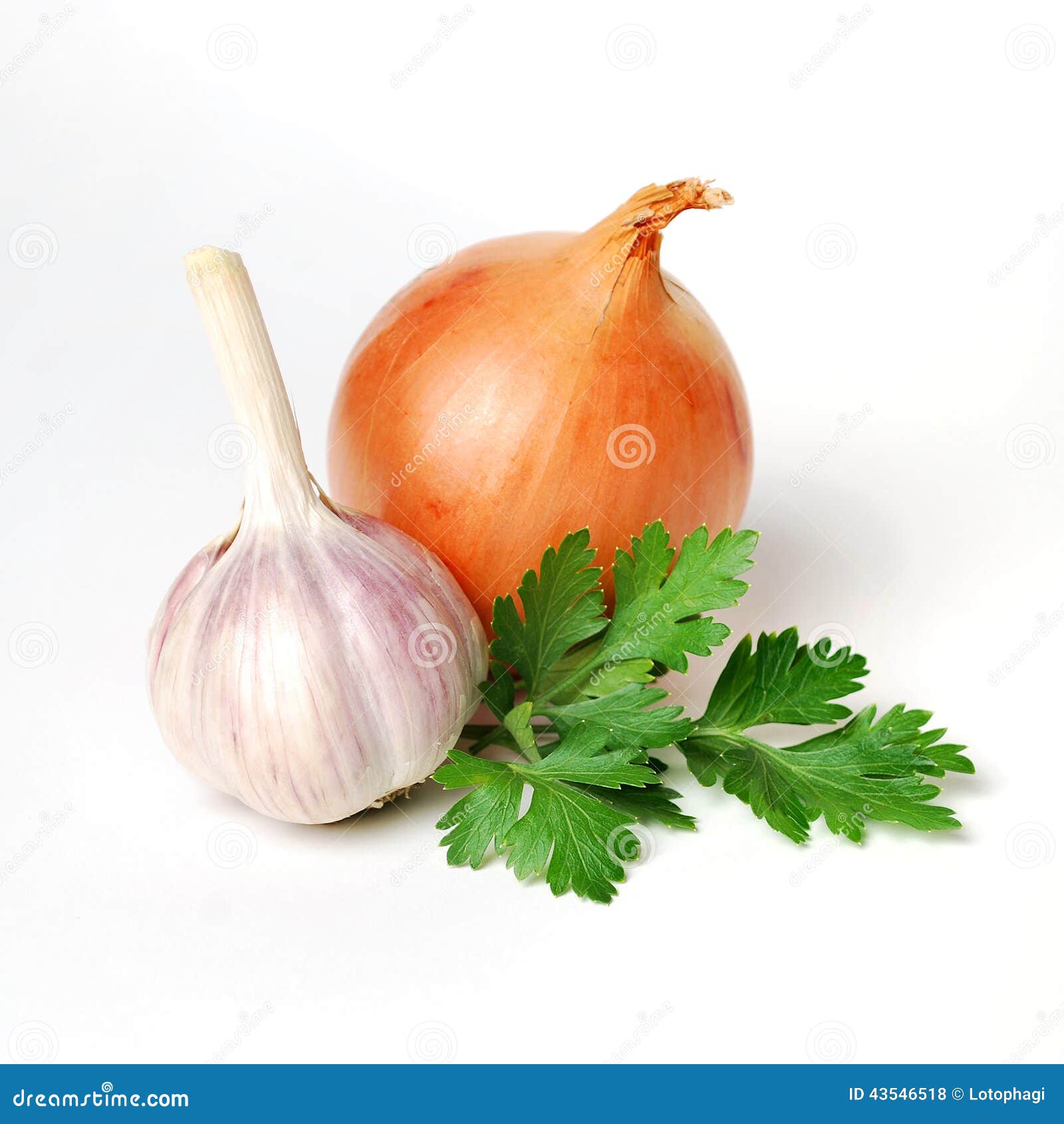 Aglio, Prezzemolo E Cipolla Fotografia Stock Immagine di ingrediente