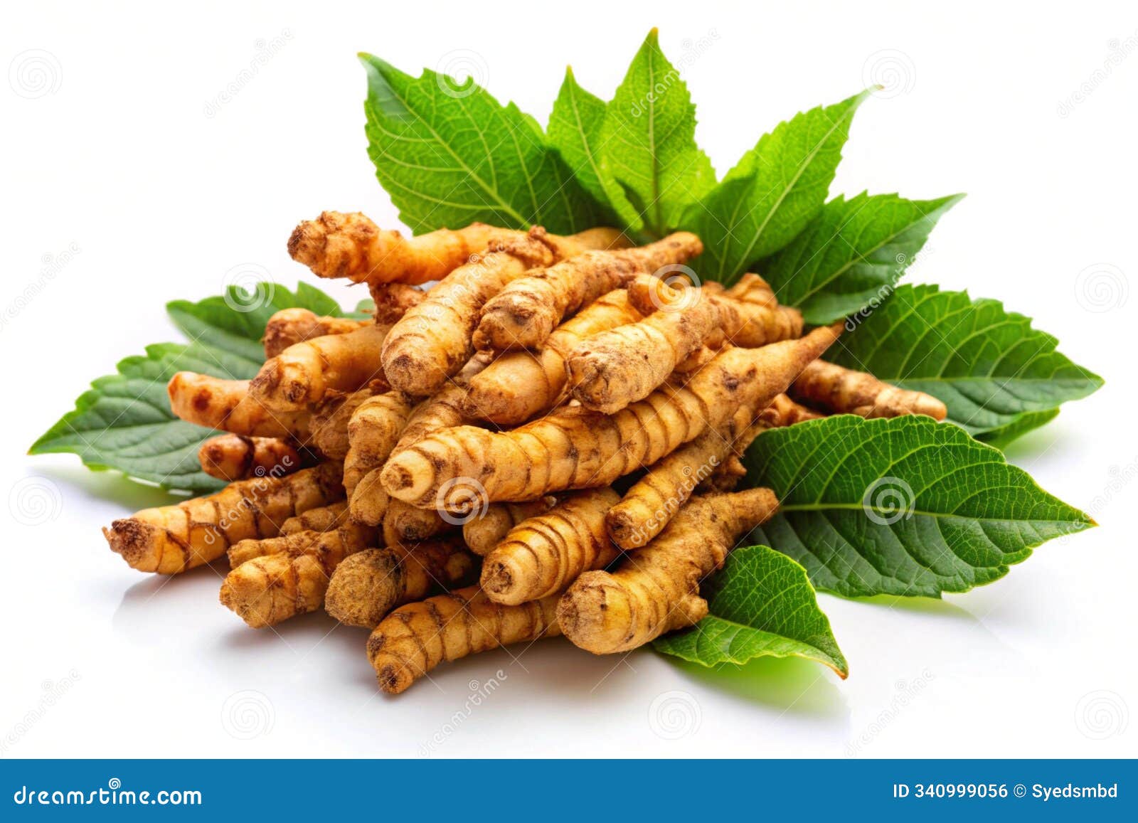 agnimantha ayurvedic herb , on white background