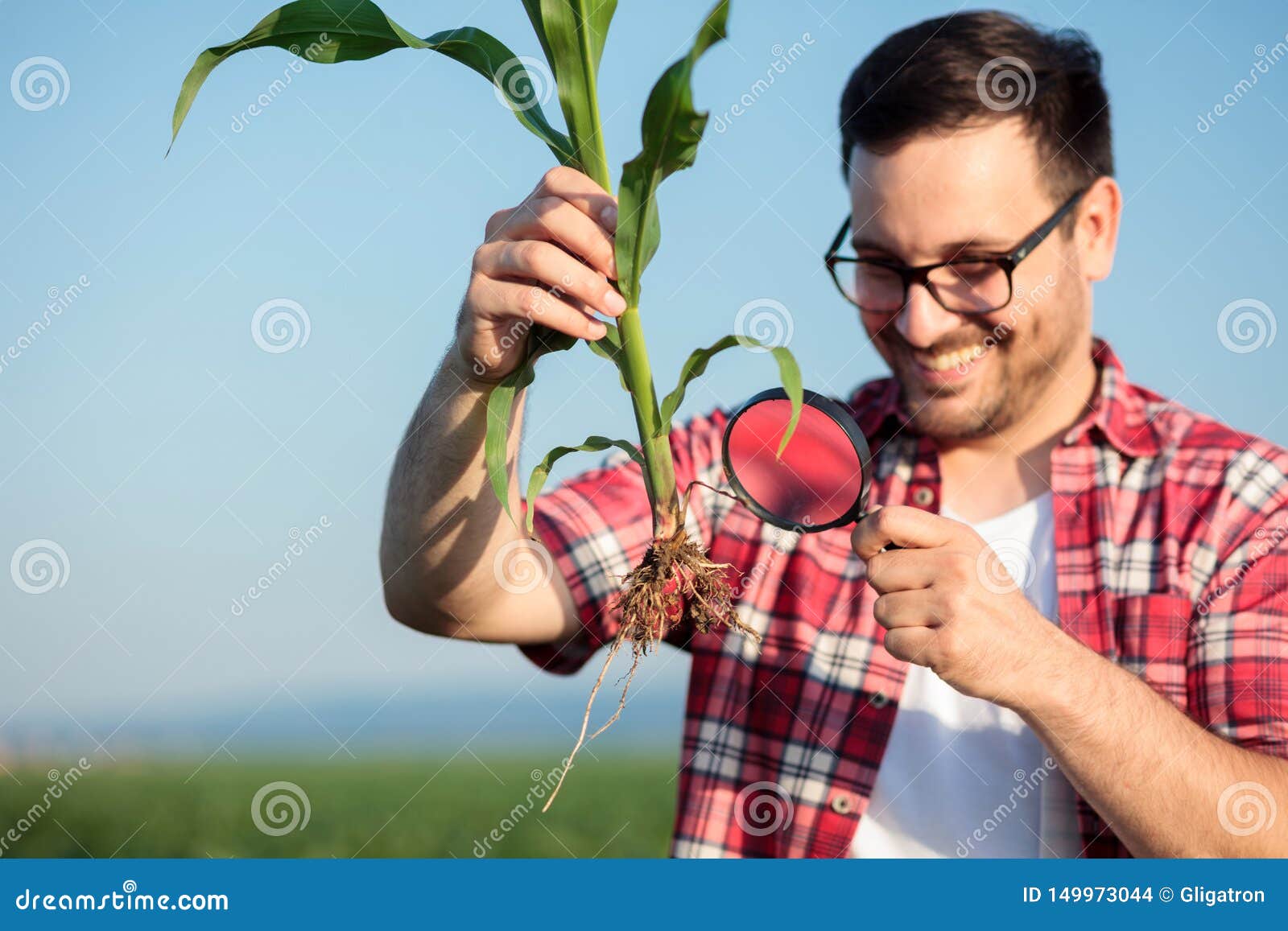 COLHEITA FELIZ: JOGANDO GRÁTIS E COLHENDO MINHA PLANTAÇÃO DE MILHO! 