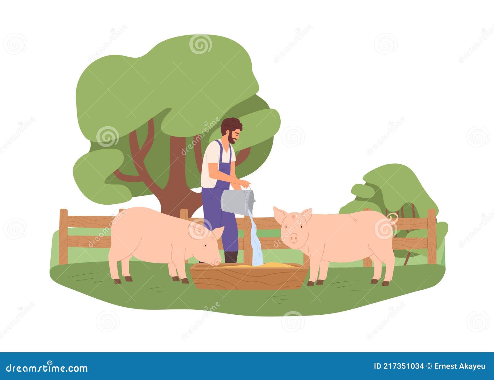 https://thumbs.dreamstime.com/z/agrarian-pouring-water-bucket-wooden-trough-pigs-young-farmer-feeding-domestic-swines-farm-livestock-agrarian-217351034.jpg