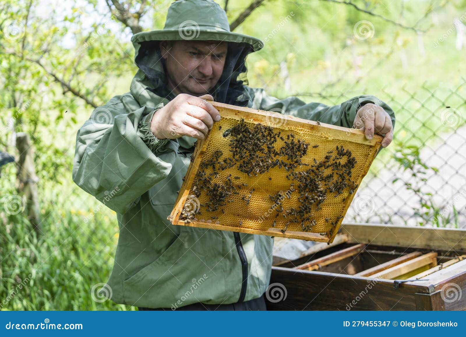 Apicoltore in Tuta Di Apicoltura Con Intelaiatura Immagine Stock