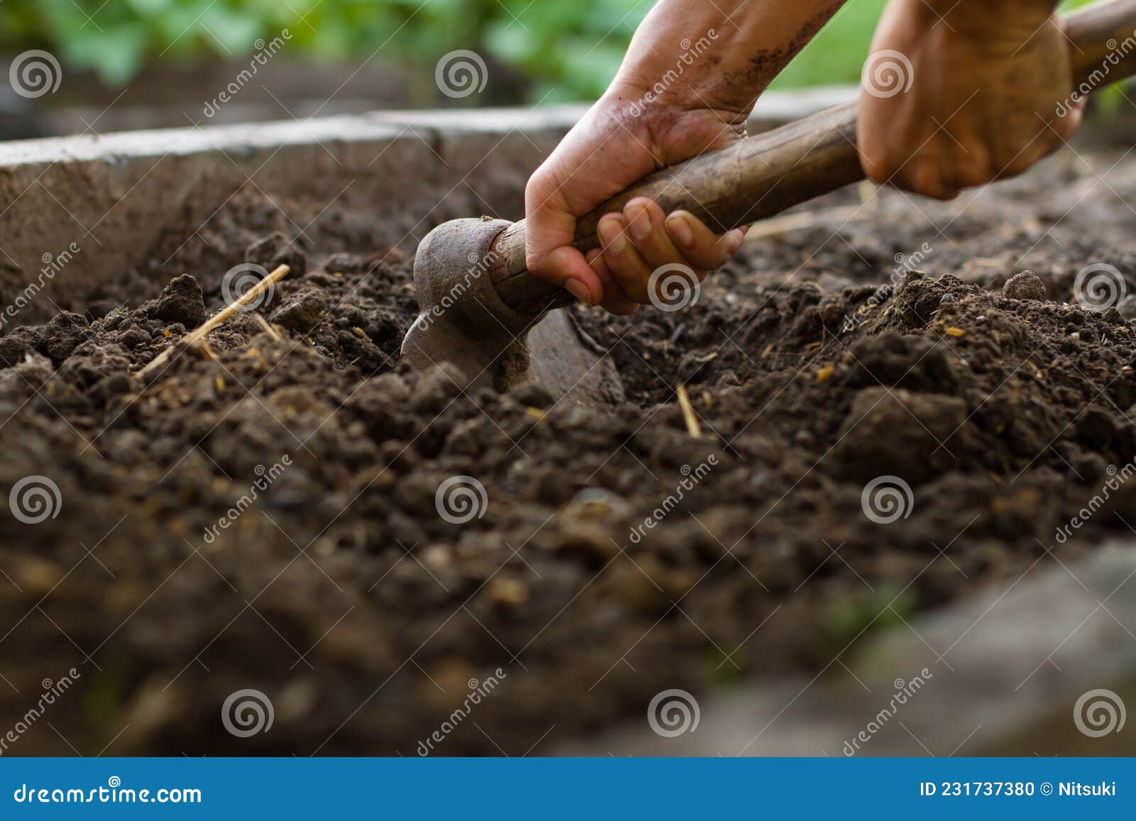 Agricoltore Che Utilizza Una Zappa in Giardino Fotografia Stock - Immagine  di alimento, coltivatore: 231737380