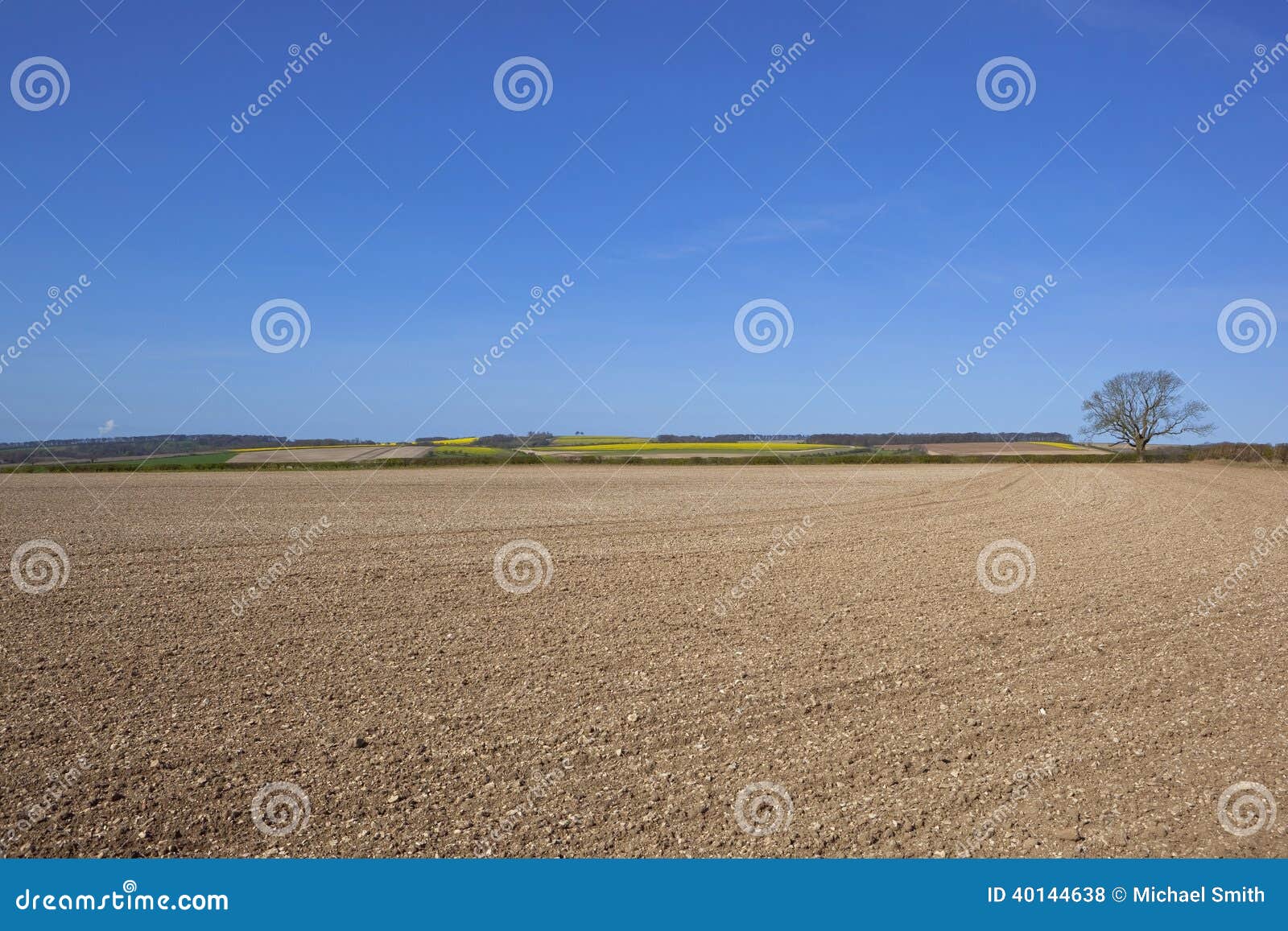 Agricoltura di primavera. Rolling Hills con gli alberi e le siepi di arbusti nella regolazione agricola scenica dei wolds Inghilterra di Yorkshire sotto un cielo blu nella primavera