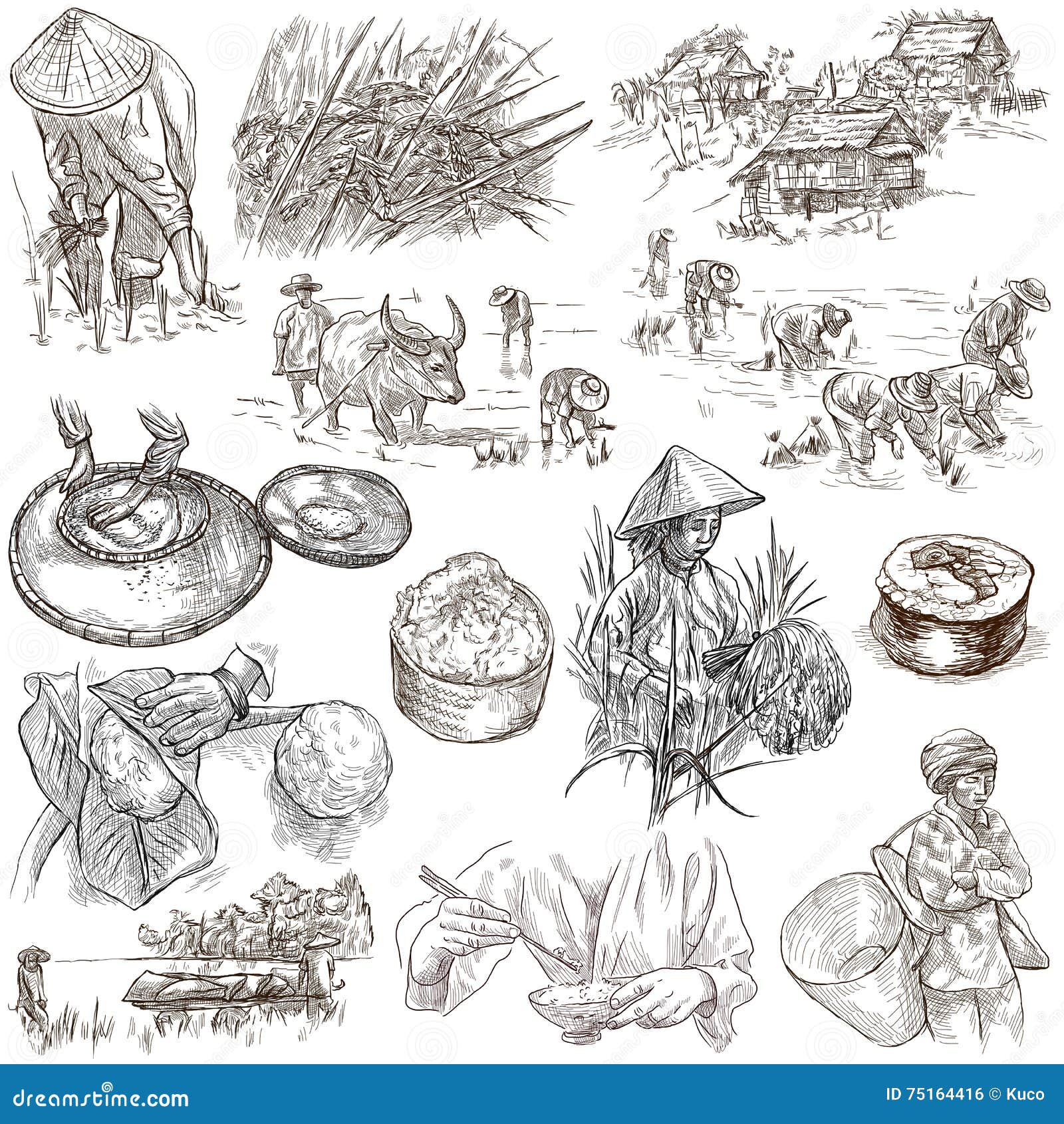 Agricultura, Arroz - Dé El Paquete Del Mismo Tamaño Exhausto Stock de ilustración - Ilustración de palillos, mano: 75164416 Agricultura, Arroz - Dé El Paquete Del Mismo Tamaño Exhausto Stock de ilustración - Ilustración de palillos, mano: 75164416