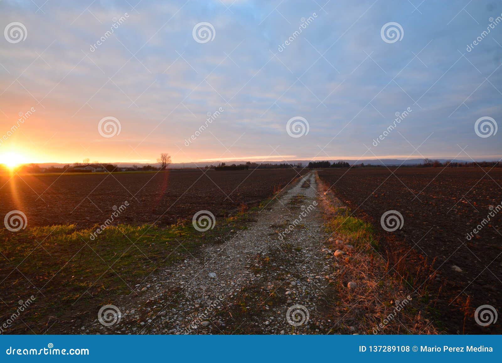 agricultural field of dream in france