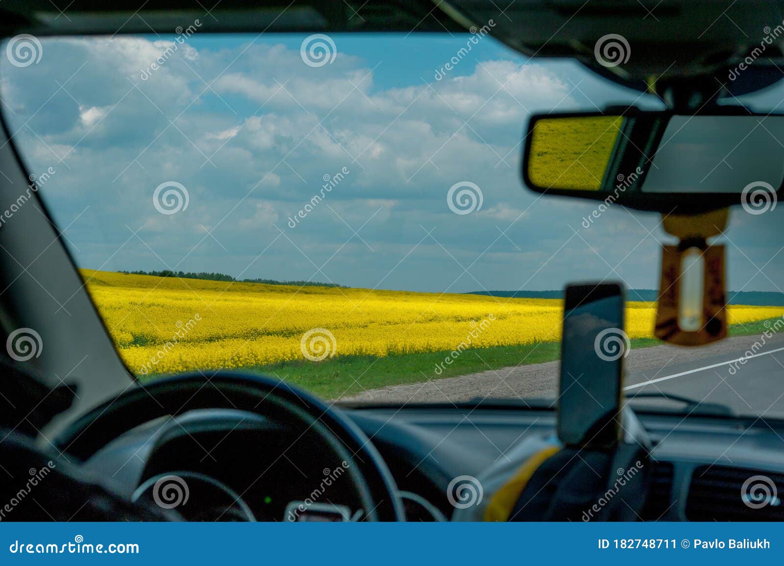 agricultural fields in springtime from the car. yellow fields of oilseed rape and road, turism, adventure