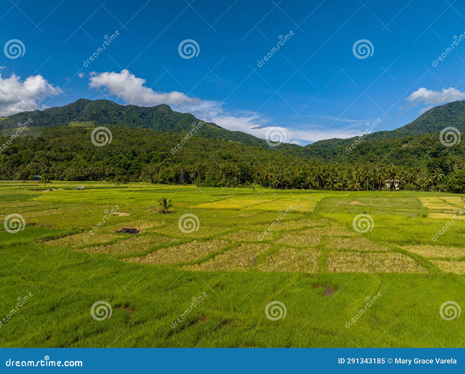 Agricultural Land. Camiguin Island. Philippines. Stock Image Image of