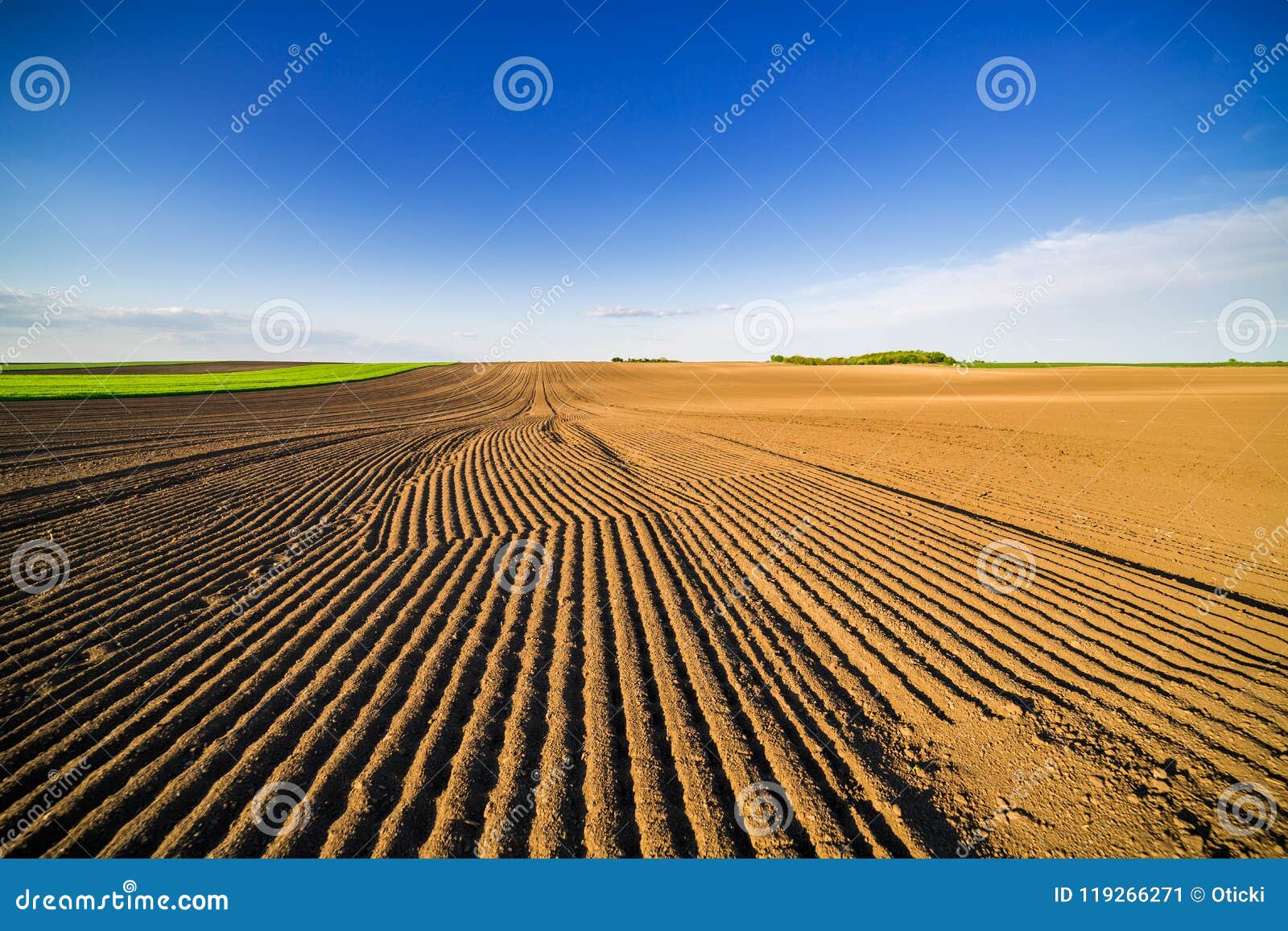 agricultural landscape, arable crop field.