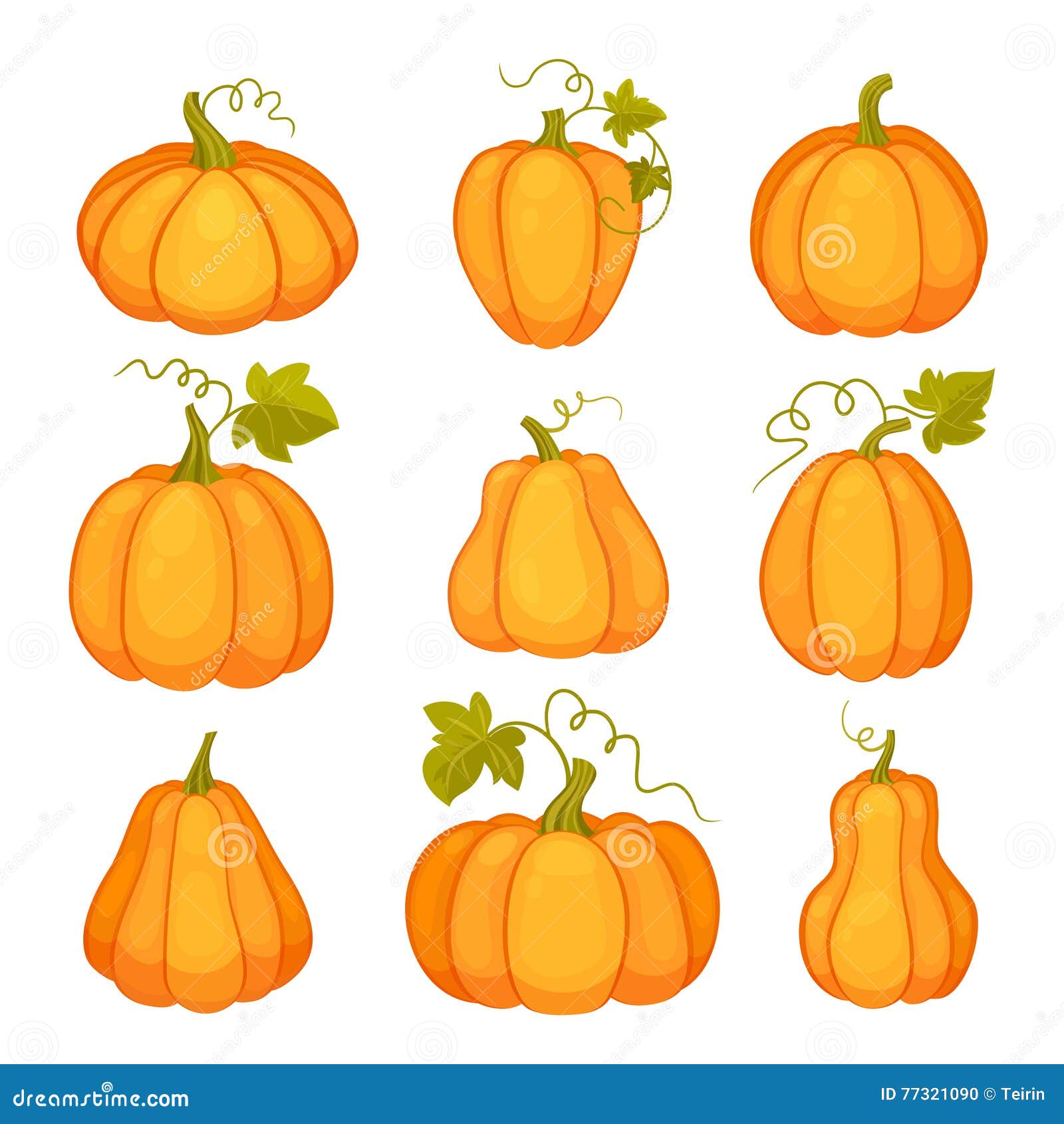 Agricultural Plant on White Background. Orange and Yellow Pumpkins with Leaves and Stalks Stock Vector - Illustration of background, cartoon: 77321090 Agricultural Plant on White Background. Orange and Yellow Pumpkins with Leaves and Stalks Stock Vector - Illustration of background, cartoon: 77321090