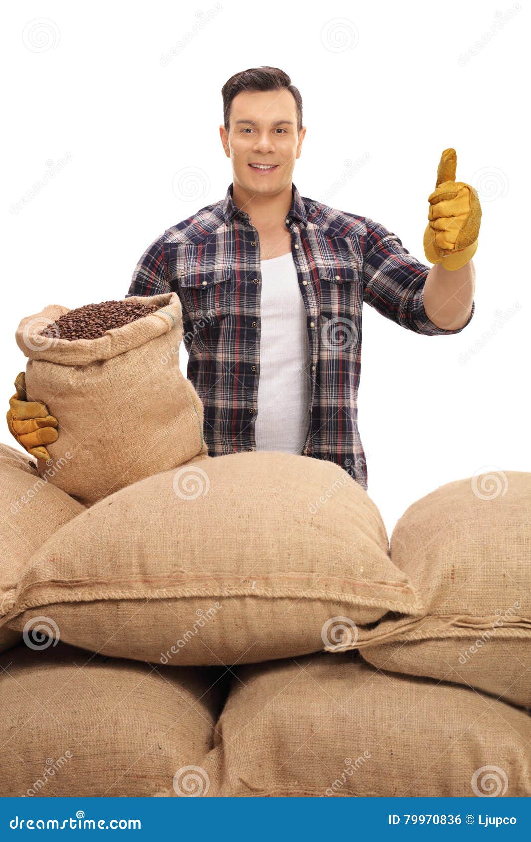 Agricultural worker with burlap sacks giving a thumb up. Agricultural worker with burlap sacks filled with coffee beans giving a thumb up isolated on white background