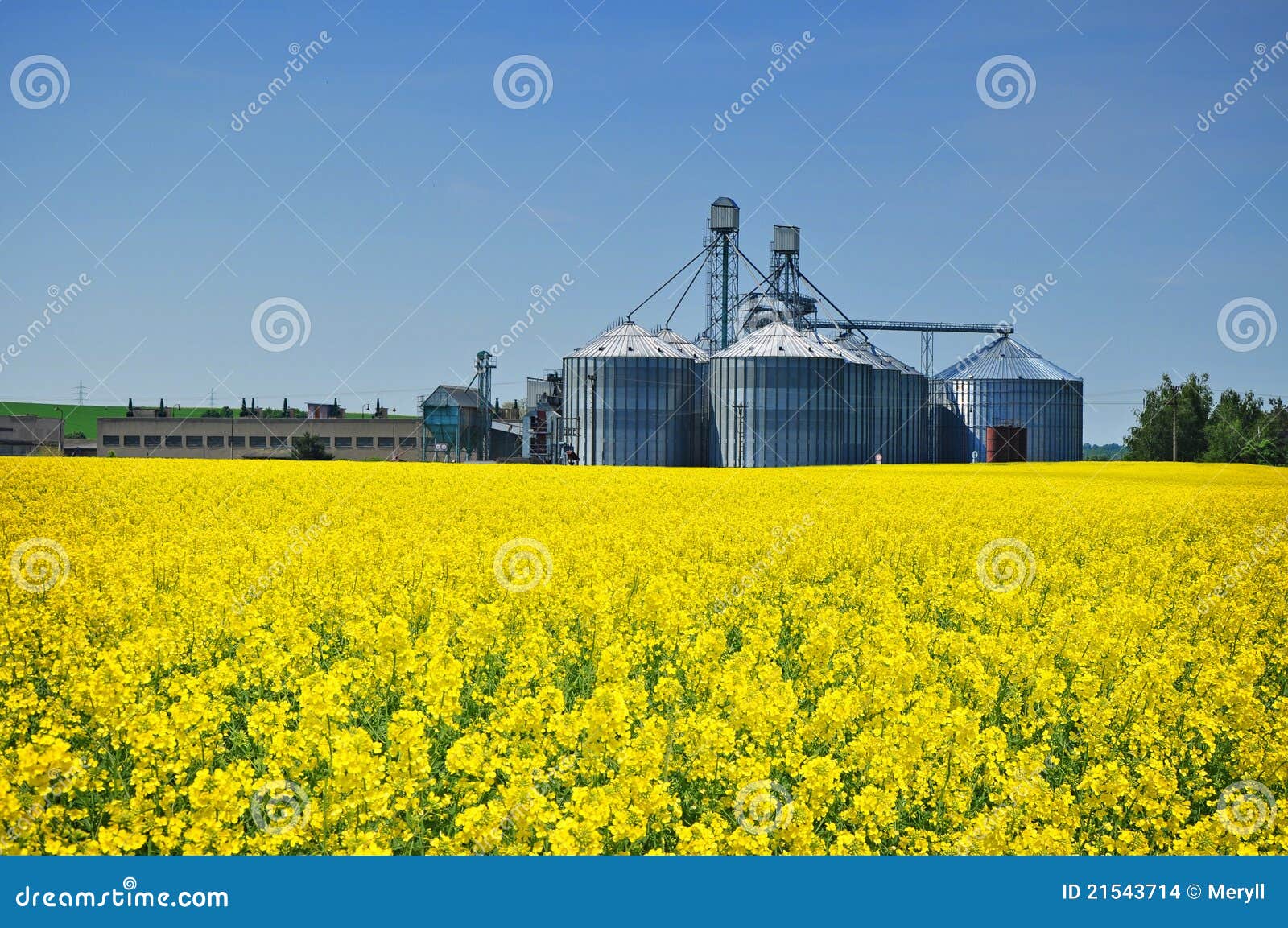 agriculture farm silo
