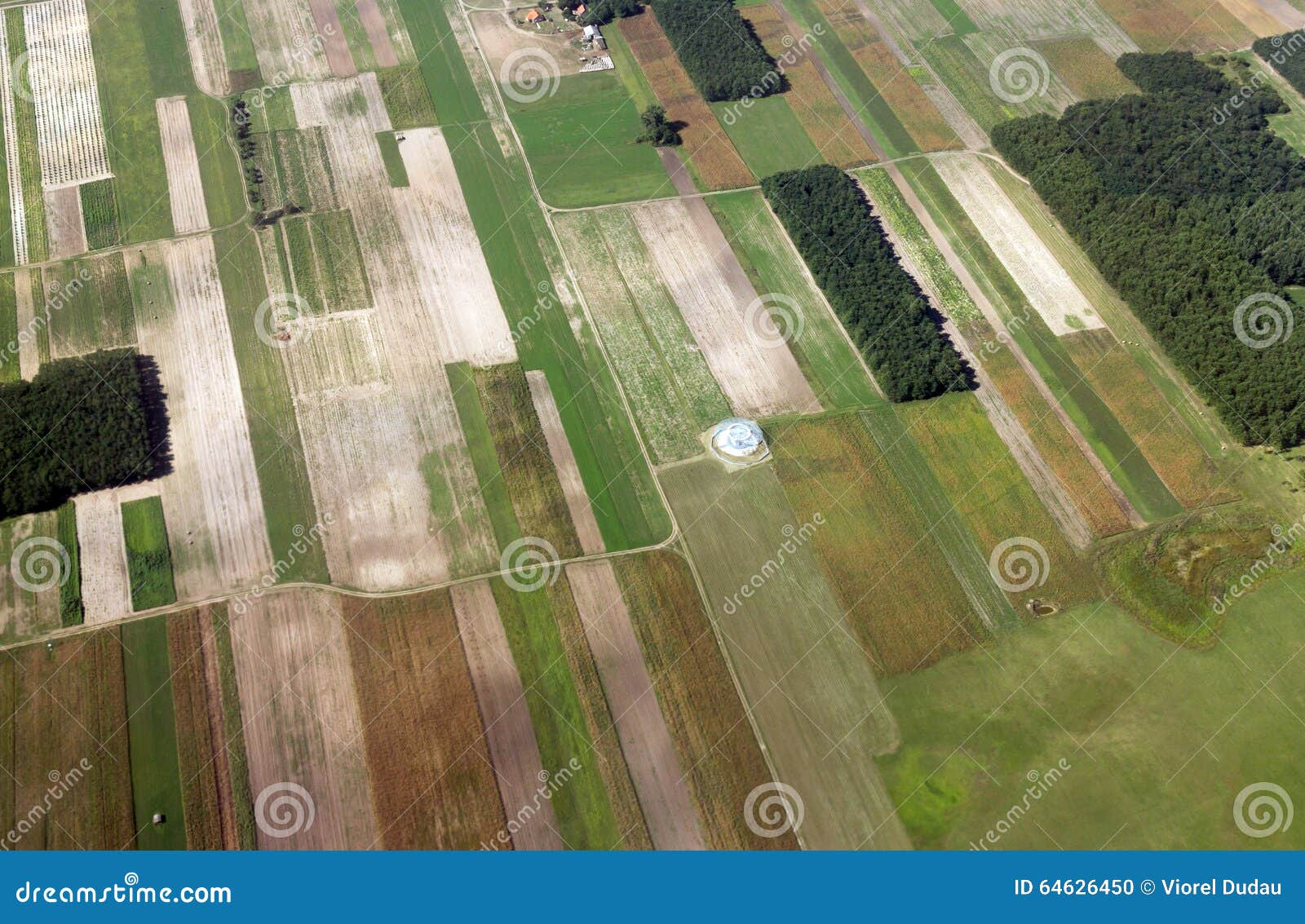 agriculture fields