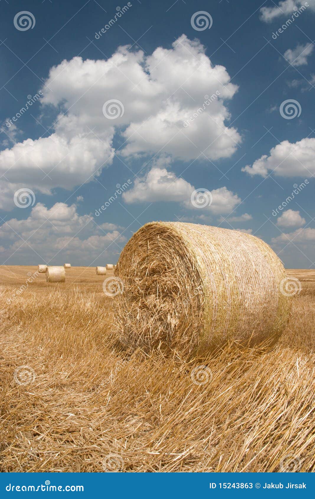 agriculture - haystack
