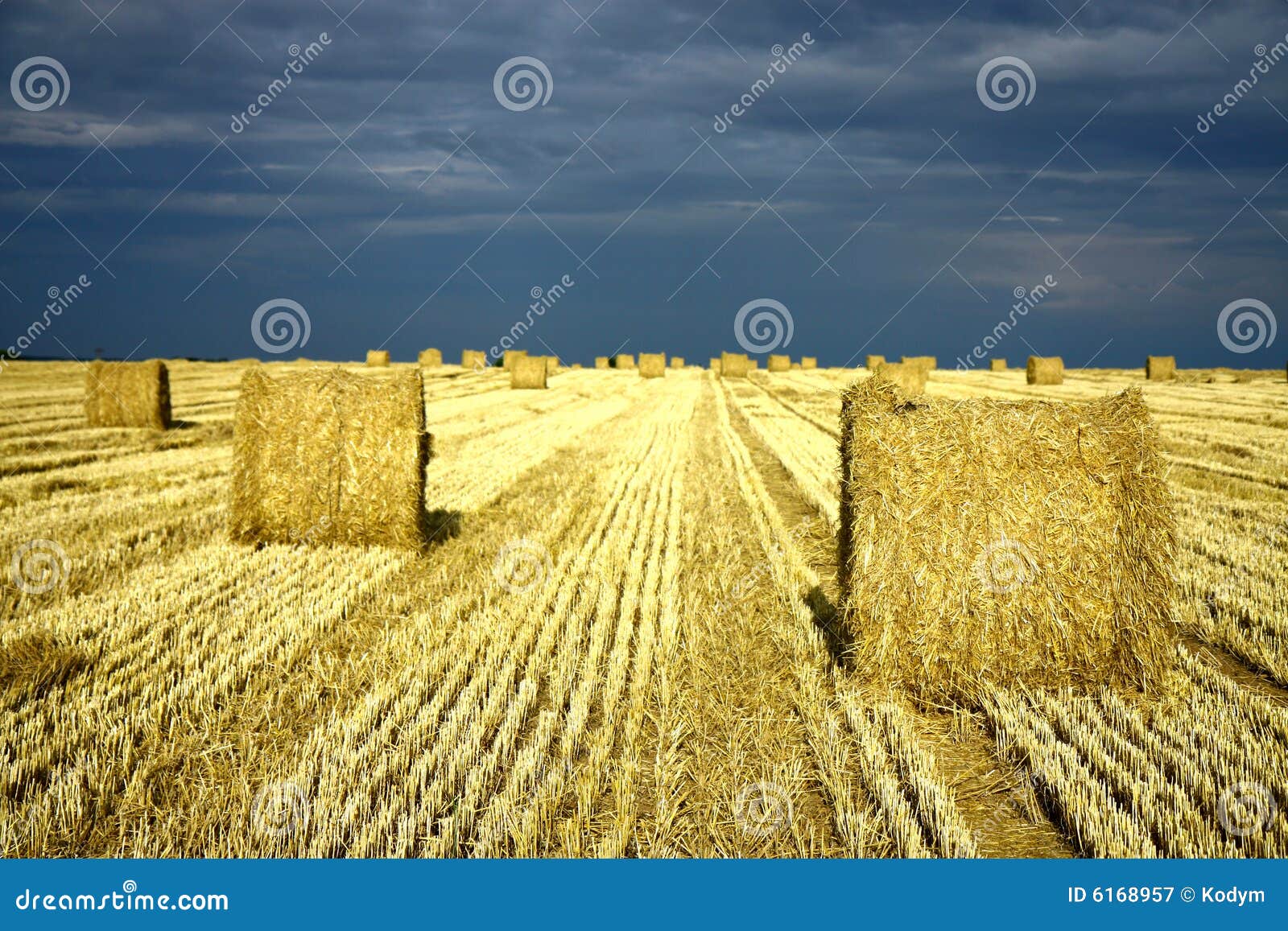 Agriculture Land with Straw Rolls Stock Image Image of grain, clouds