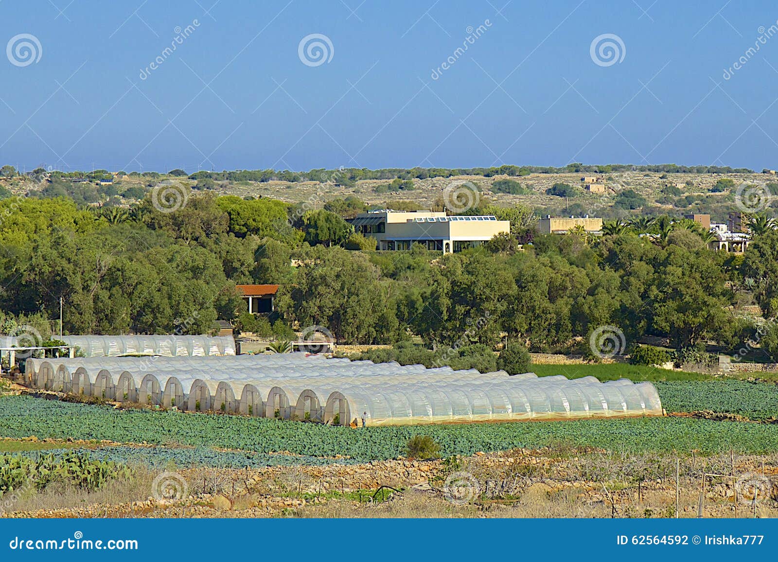 Agriculture in Malta stock photo. Image of view, panorama 62564592