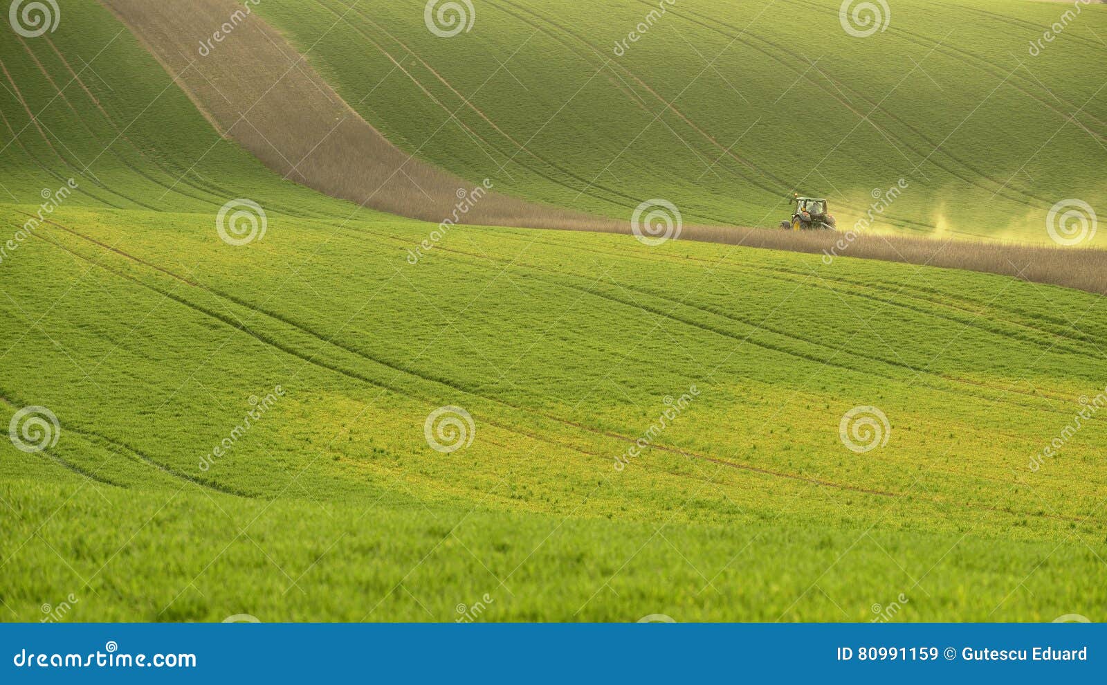 agriculture on moravia rolling hills with wheat filds and tractor