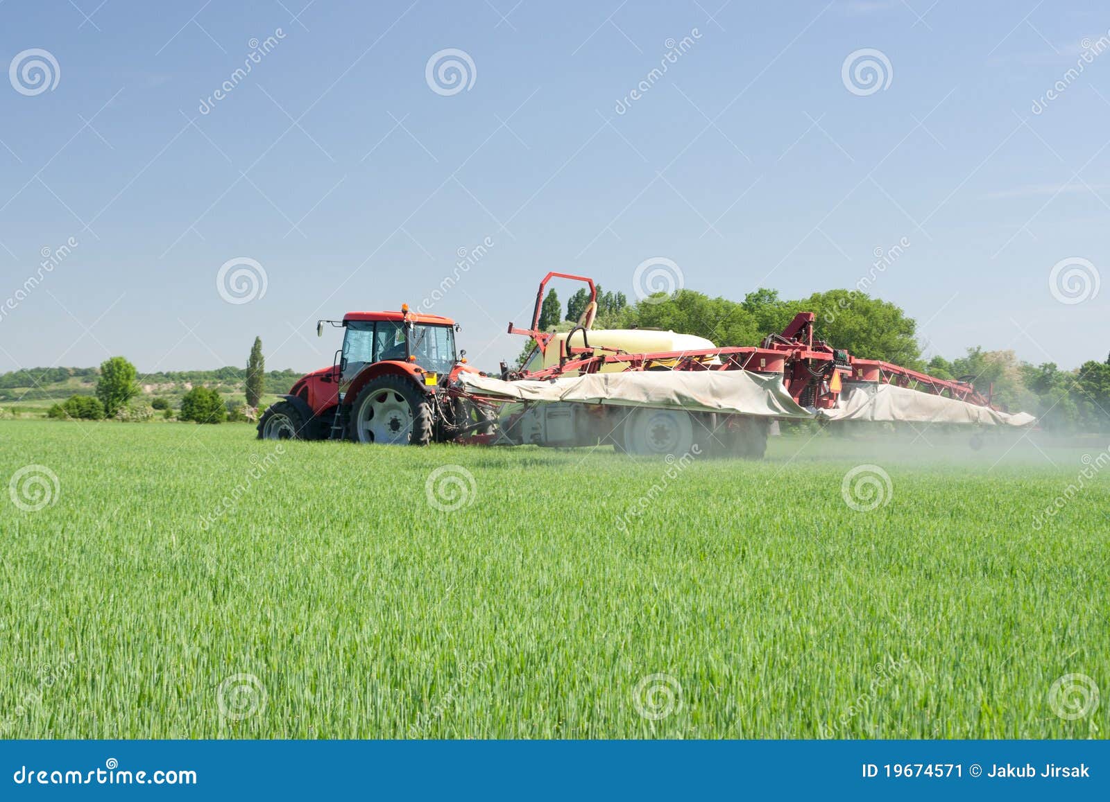 Plant Protection Products On Small Pine Plants As Measures To Prevent