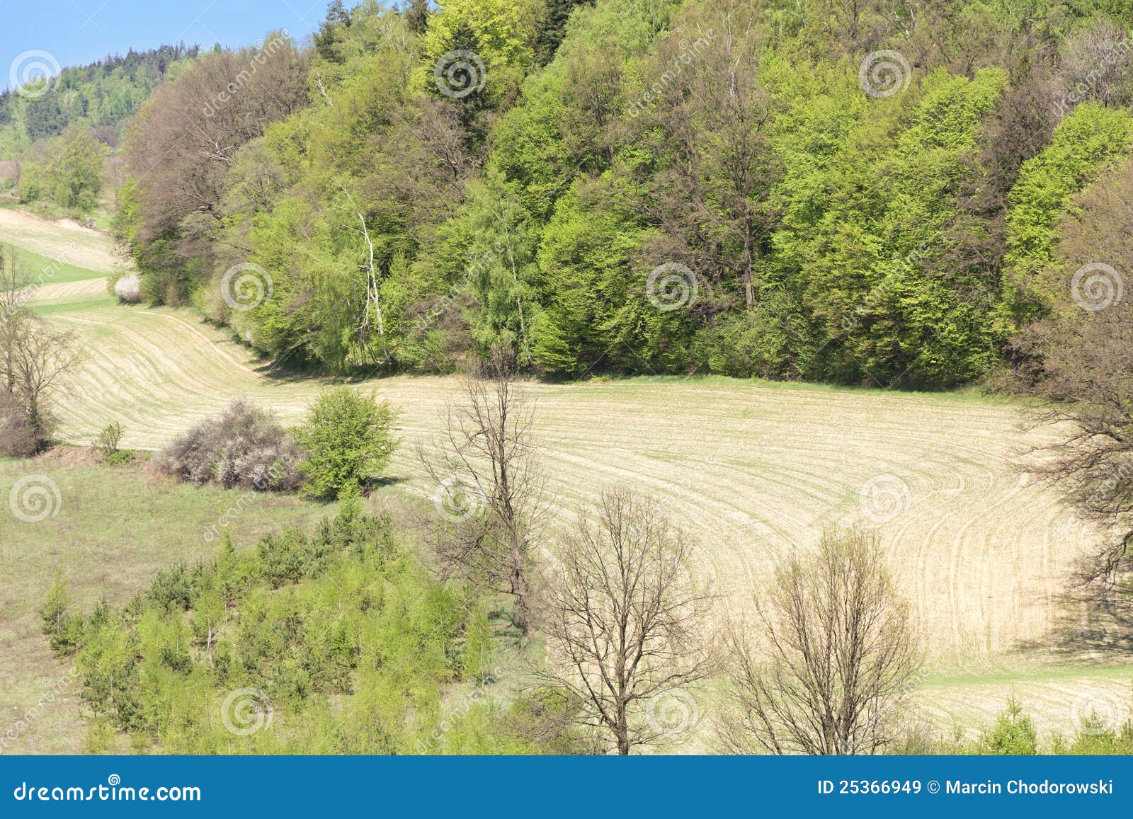 Agriculture in Poland. stock image. Image of pasturage 25366949