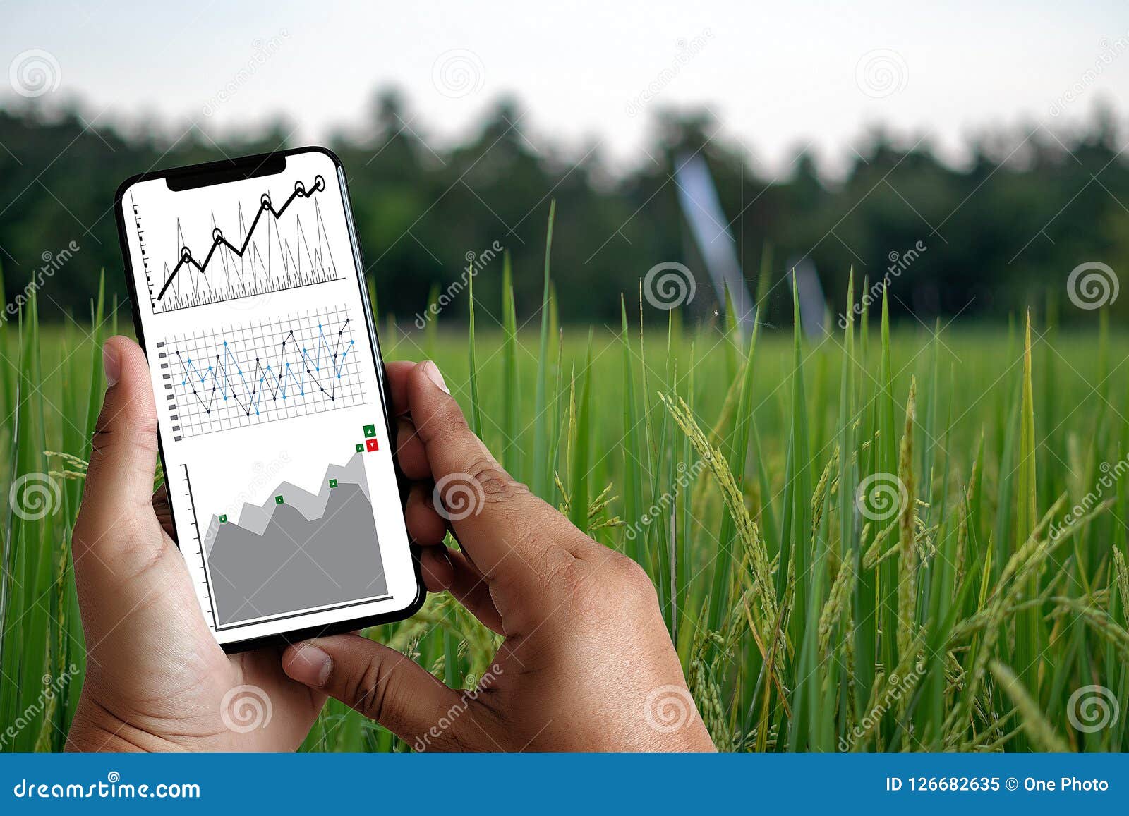 agriculture technology concept man agronomist using a tablet in