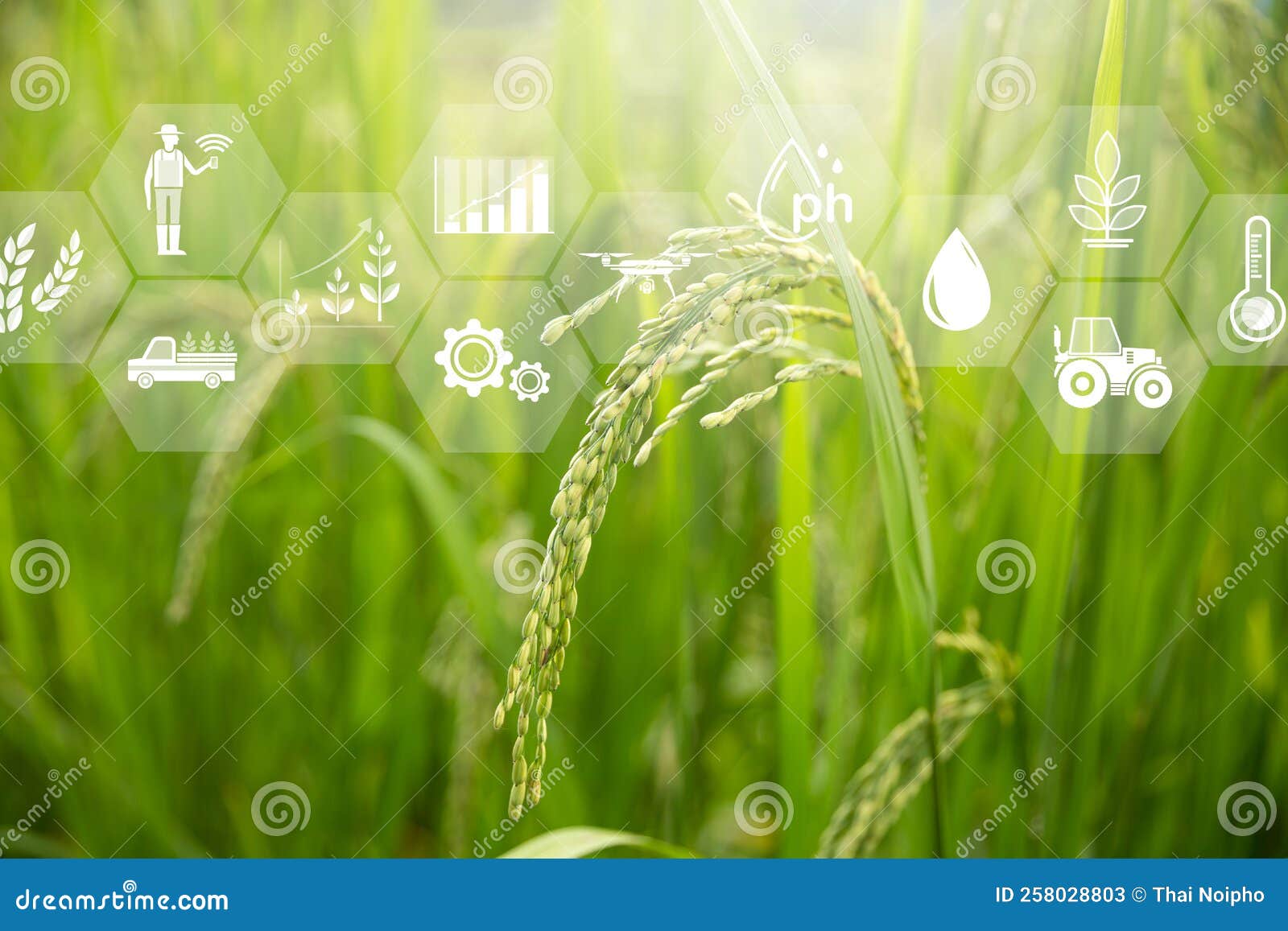 Agriculture Technology Farmer Holding Digital Tablet or Tablet
