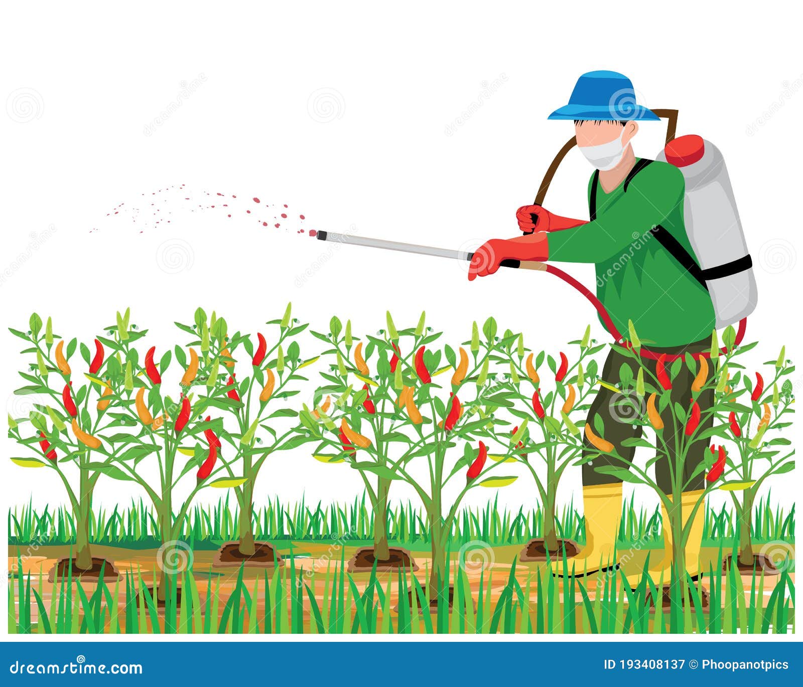 Agriculturist Sprays Manure into Chilli Plant Vector Design Stock