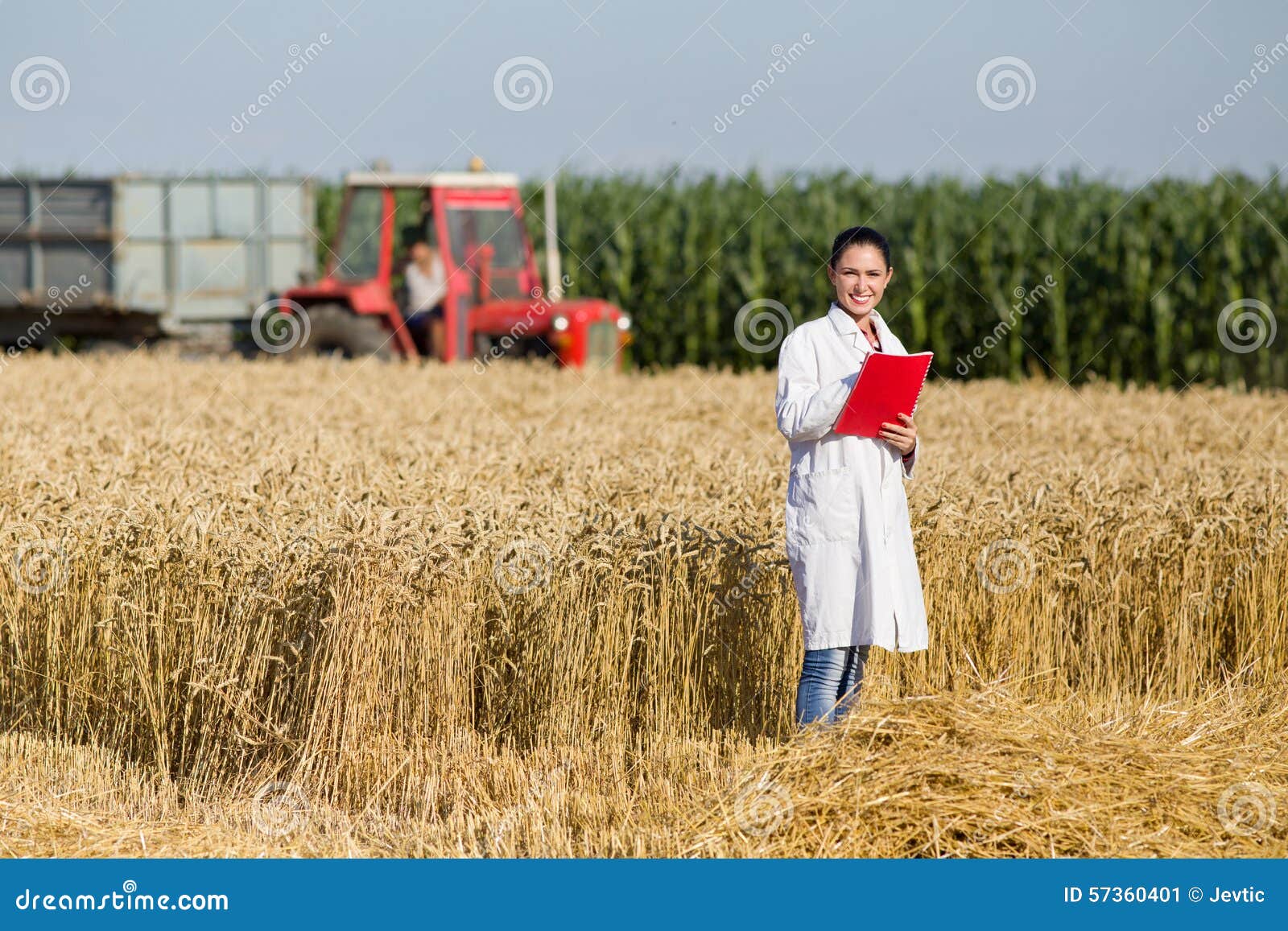 Агроном в поле пшеницы