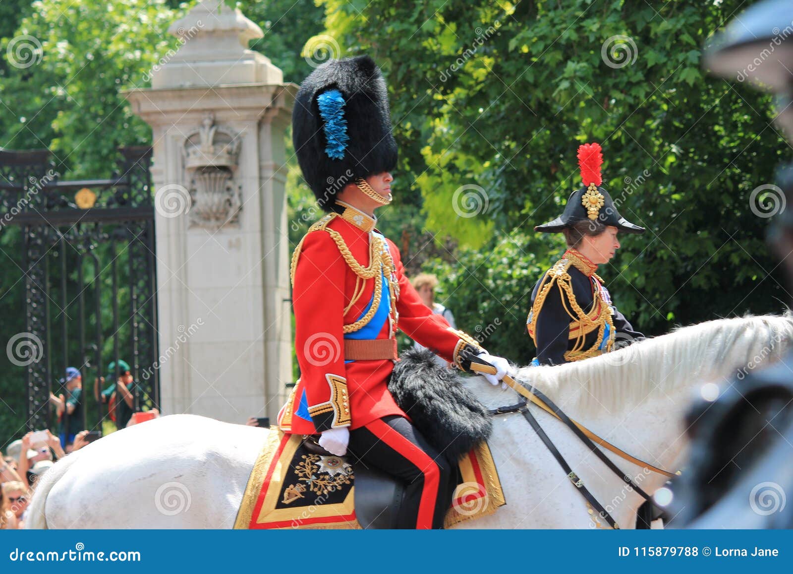 Princesas Agrupando as Cores