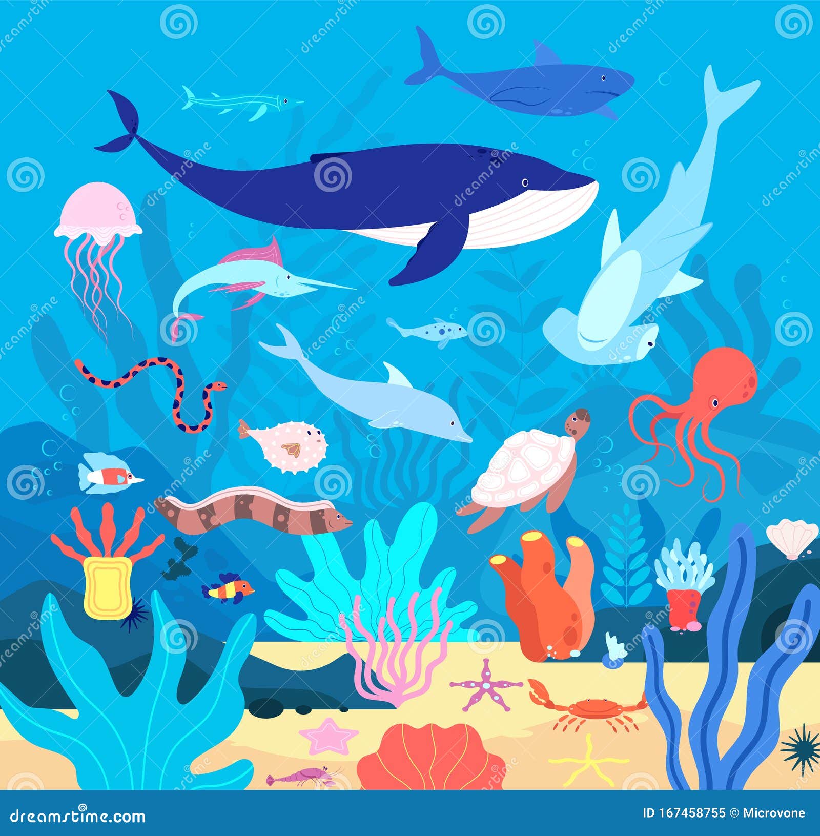 Agua Submarina Animales Submarinos, Dibujos Animados Sobre La Fauna Marina  Hábitats Acuarios Felices, Peces Oceánicos Y Mamíferos Ilustración del  Vector - Ilustración de colorido, marejada: 167458755