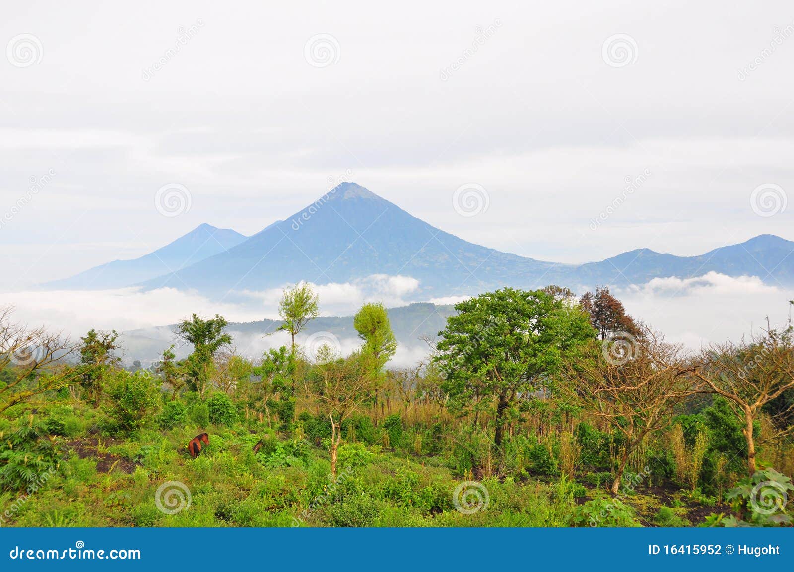 agua volcano, guatemala