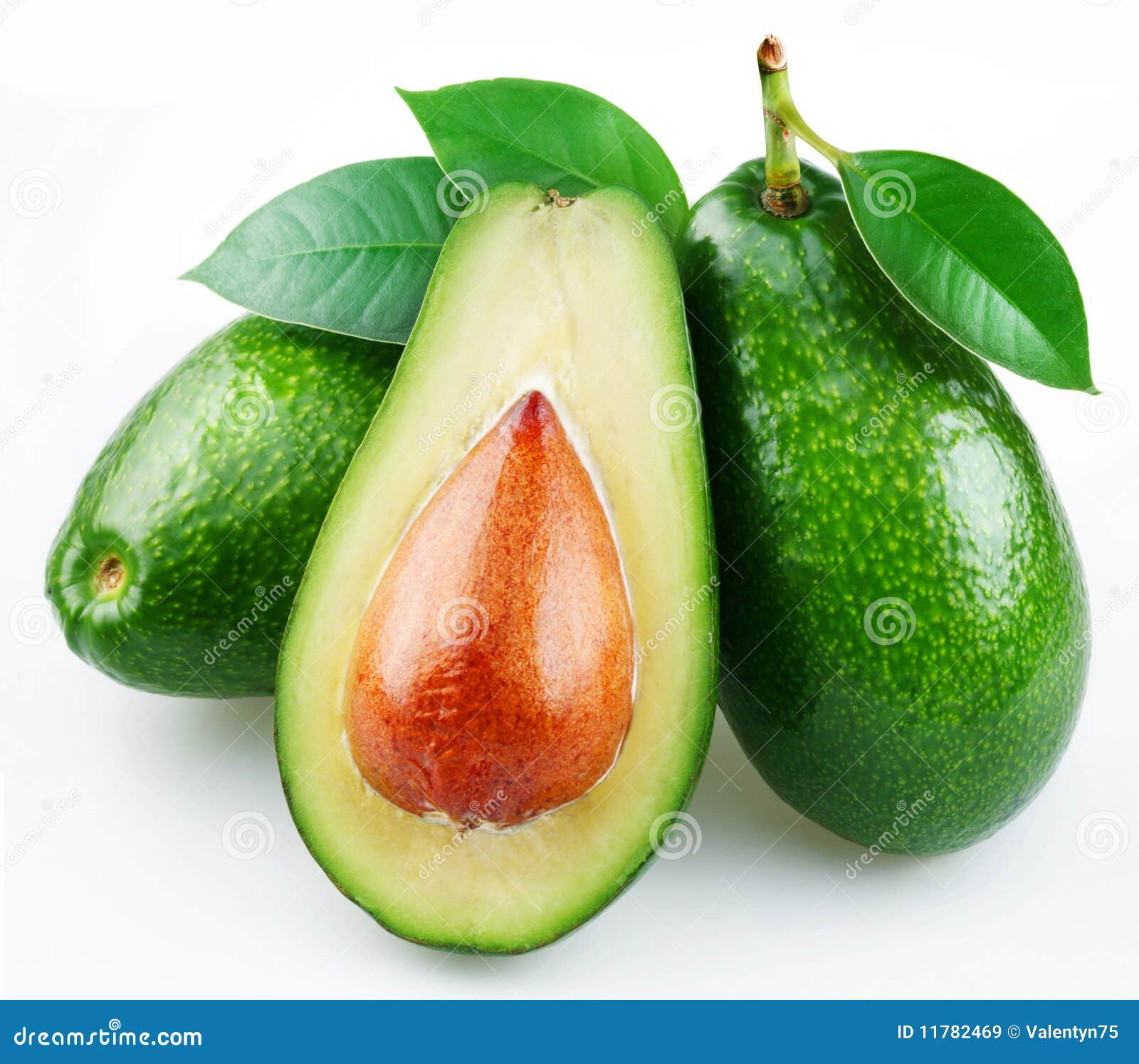 Aguacate con las hojas imagen de archivo. Imagen de tropical 11782469