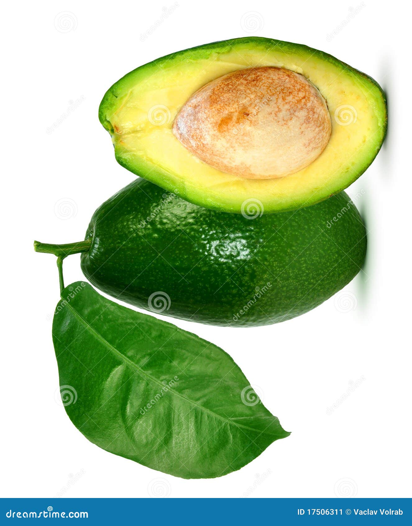 Aguacate con las hojas imagen de archivo. Imagen de fondo 17506311