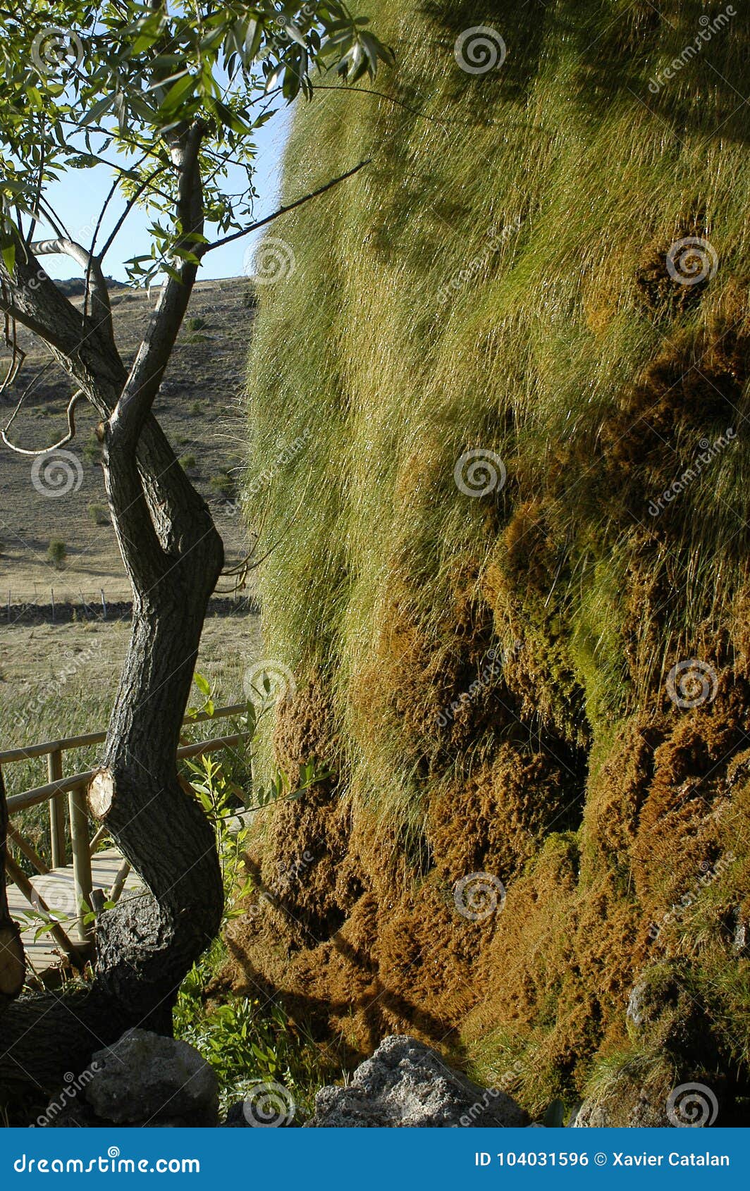 aguas peÃÂ±as , tuff stone